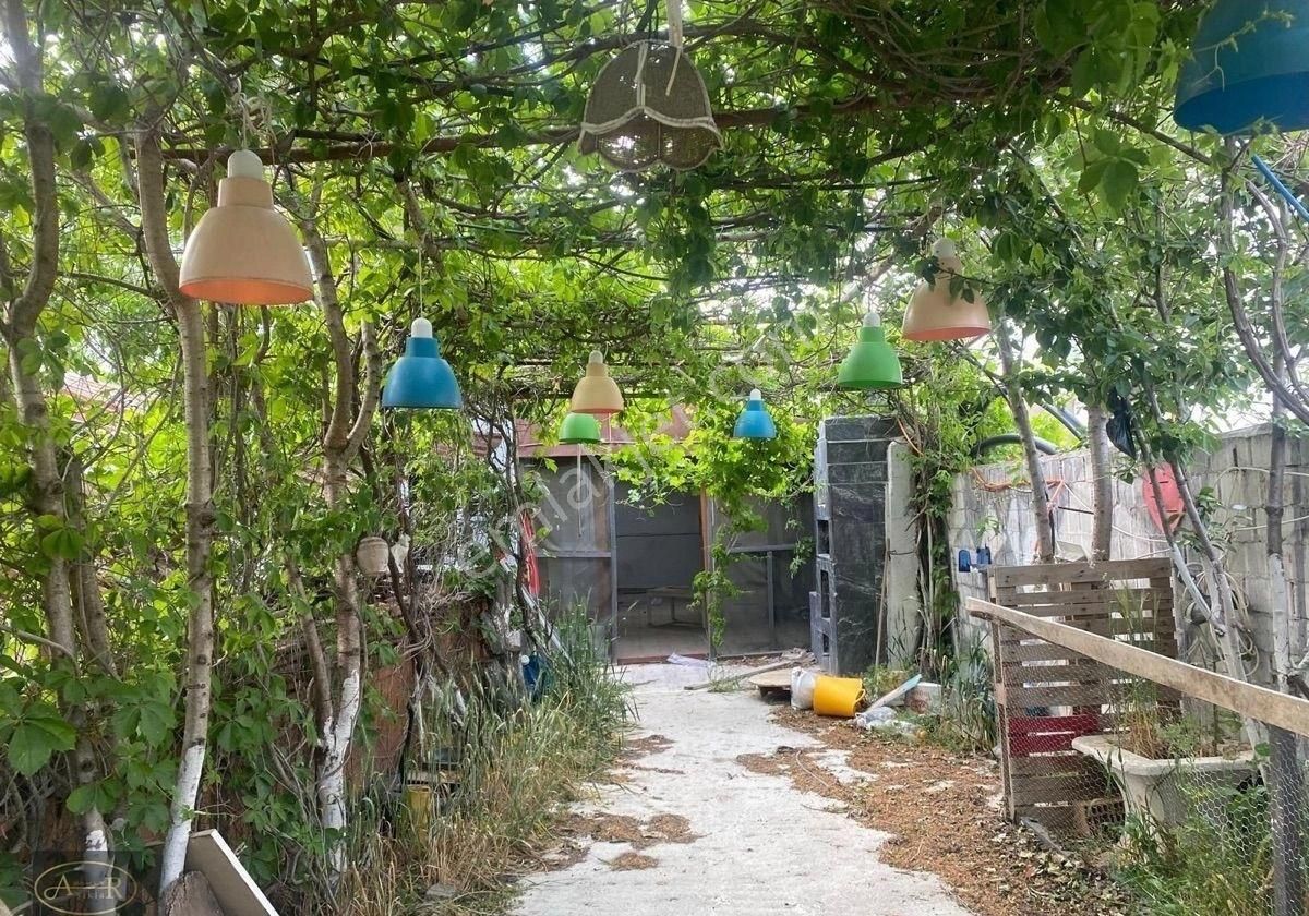 Balıkesir Burhaniye Kızıklı Müstakil Köy Evi - Görsel 12