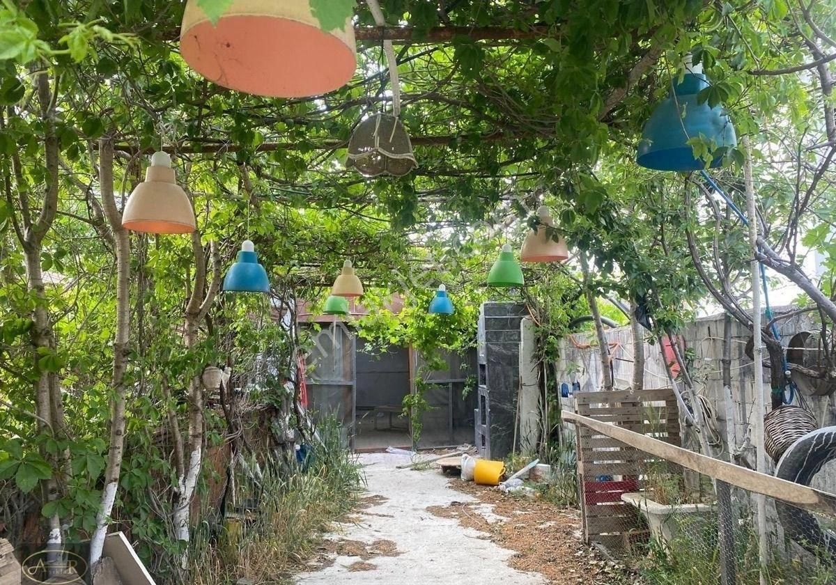 Balıkesir Burhaniye Kızıklı Müstakil Köy Evi - Görsel 8