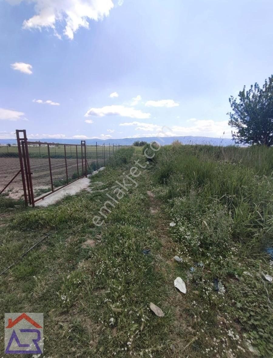 Ada Royalden Yazıdere De 11 Dönüm Kadastro Yoluna Cepheli Tarla