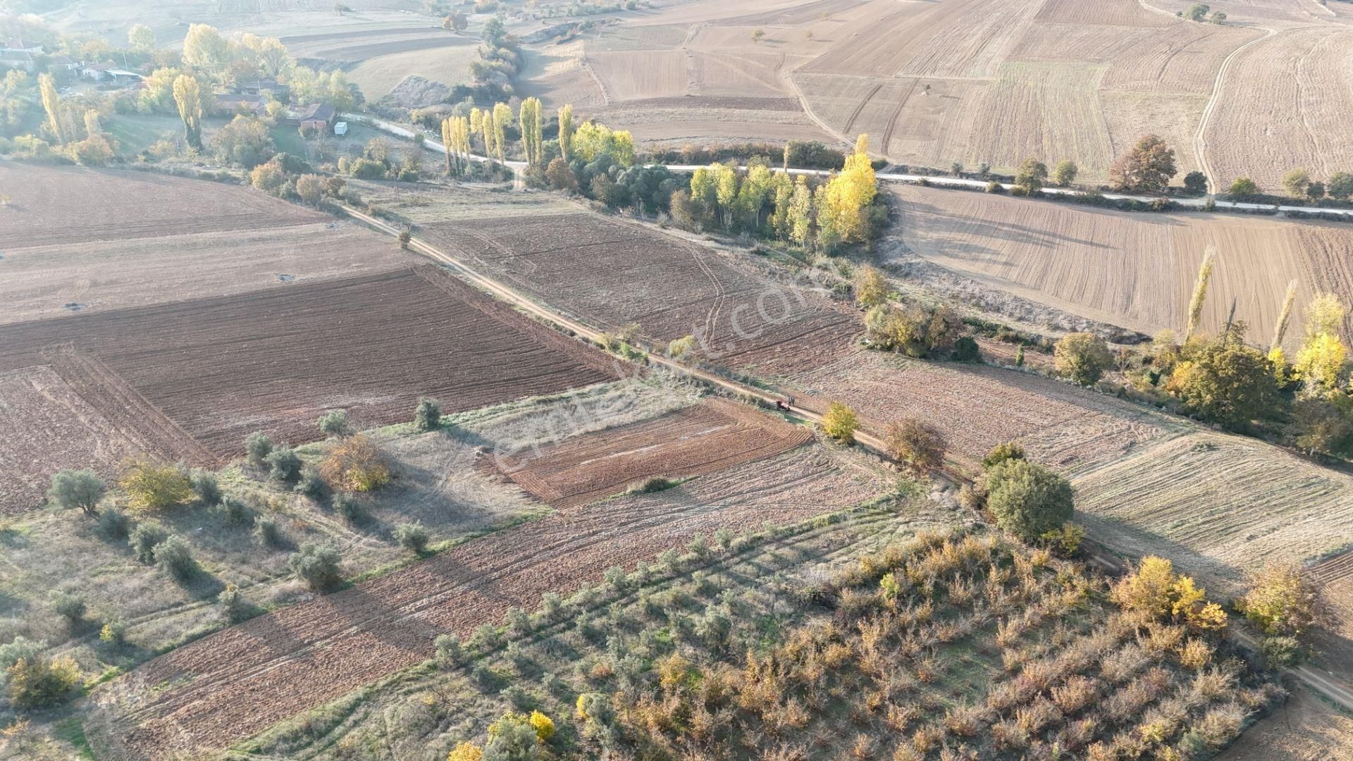 Altın Emlak'tan Bursa Yenişehir Eğerce Köyünde Yol Kenarı Boncuk Gibi Tarla