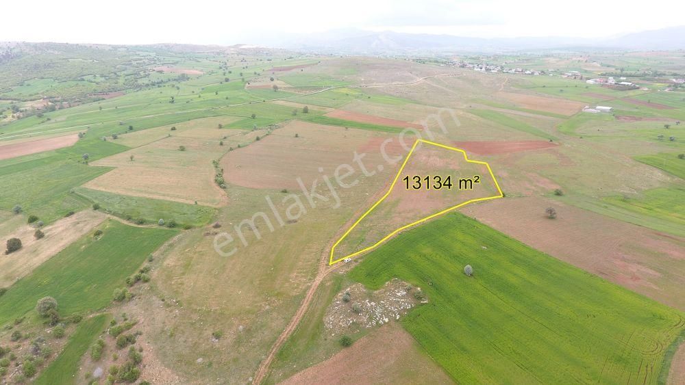 Konya Derbent Saraypınar'da 13.134 M² Müstakil Tapulu Tarla