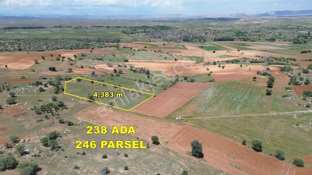 Konya / Akören / Tülce Mahallesinde 4.383 M² Müstakil Tapulu Tarla