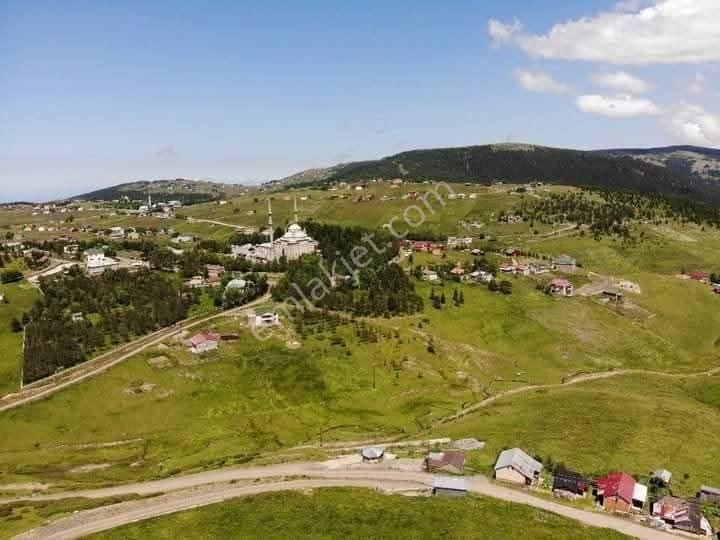 Trabzon Akçaabat Haçka Yaylasında Satılık Tapulu 1766 Metrekare Arsa