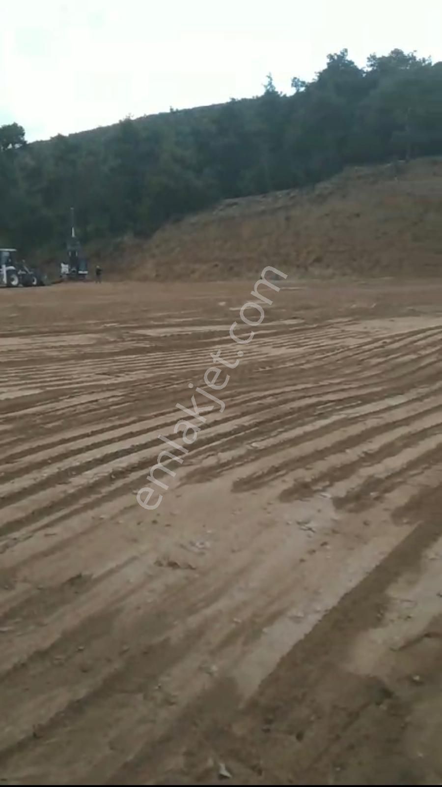 Denizli Merkezefendi Yeşilyayla'da Satılık Bahçe