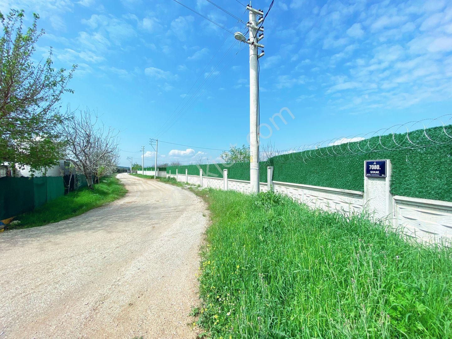 Mendereste 500 M2 Arsa ( Açıklamayı Tam Okuyun )