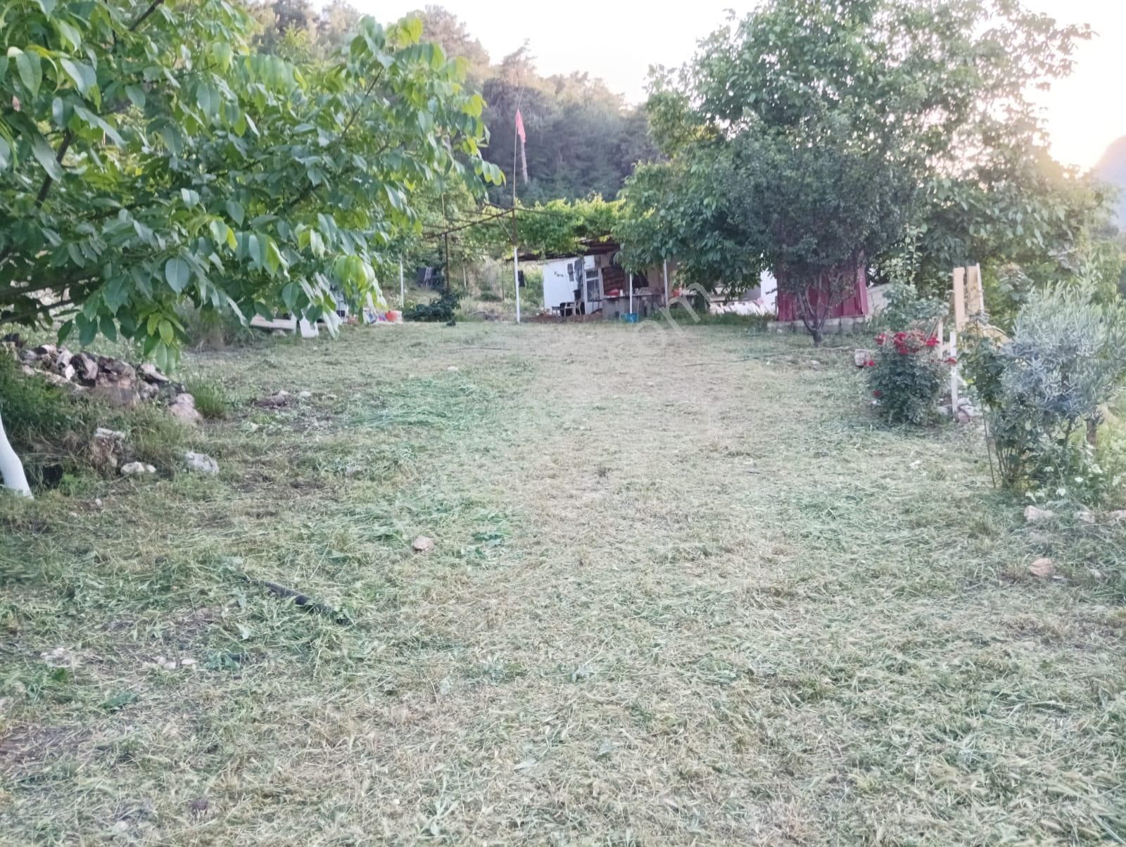 Satılık Verimli Şeftali Bahçesi – Mersin Yenişehir Çukurkeşlik Mahallesi