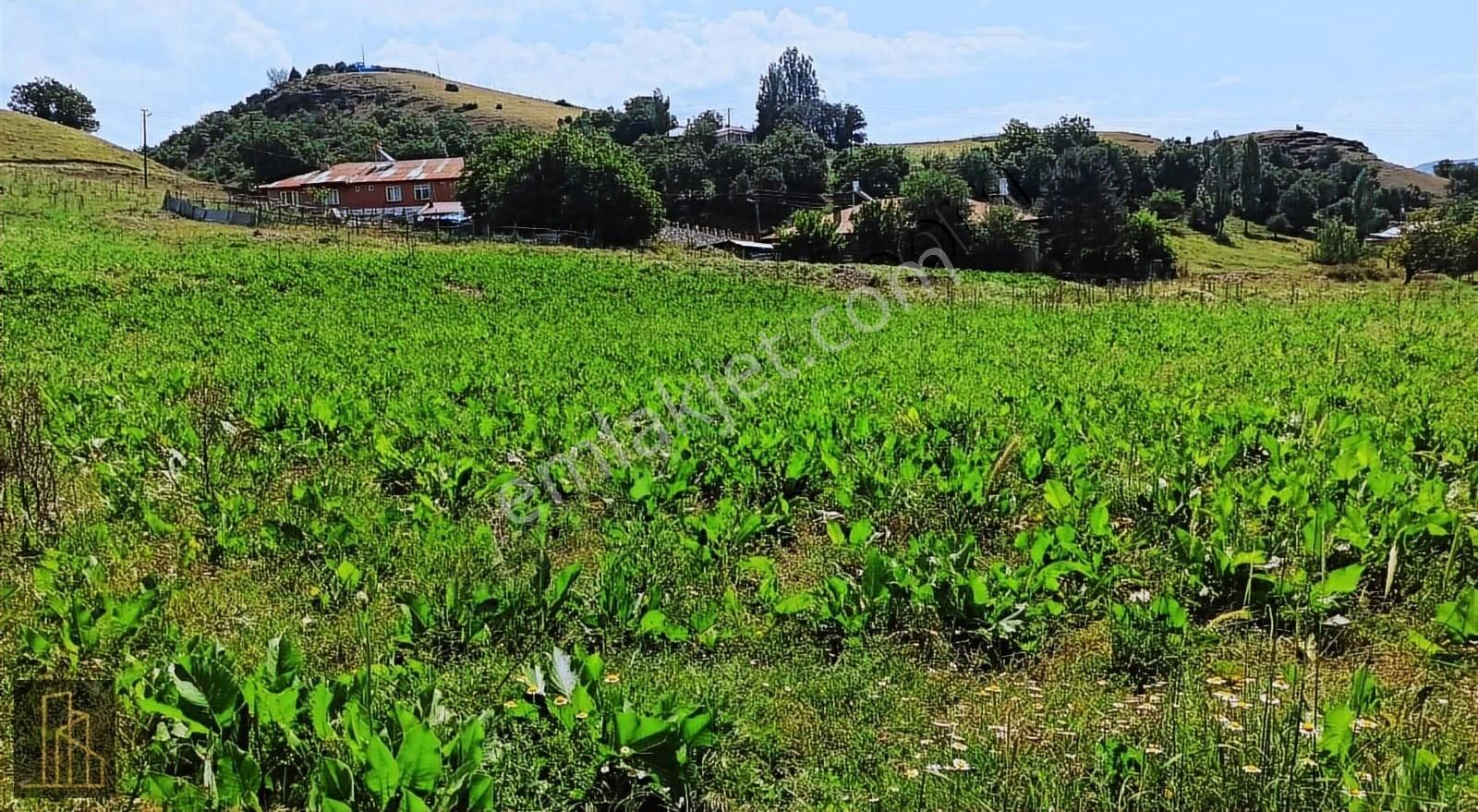 Tunceli Merkez Harçik Bölgesinde Villaya Uygun Yatırımlık Arsa