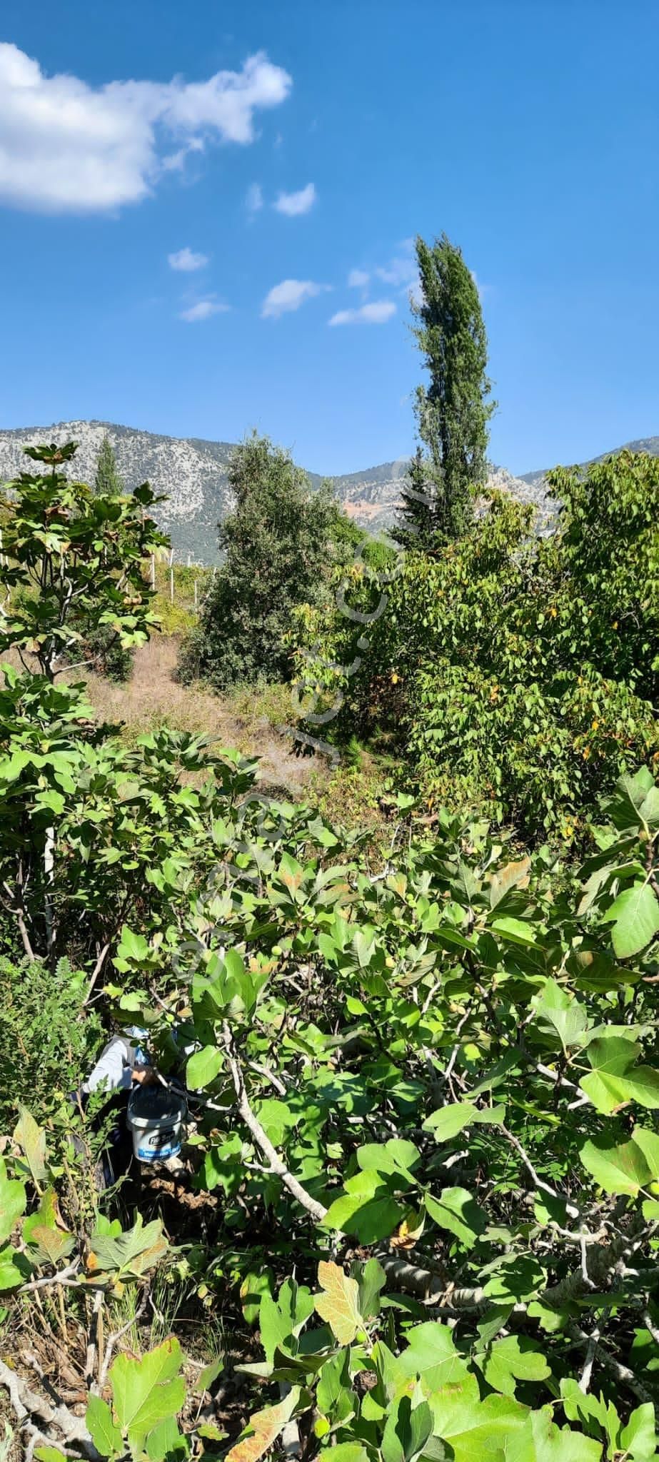 Toroslar Bekiralanında Satılık Bağ&bahçe