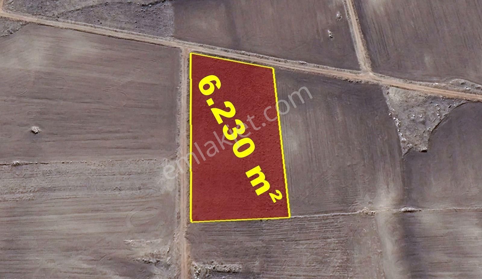 Konya / Akören / Orhaniye Mahallesinde 6.230 M² Müstakil Tapulu Tarla