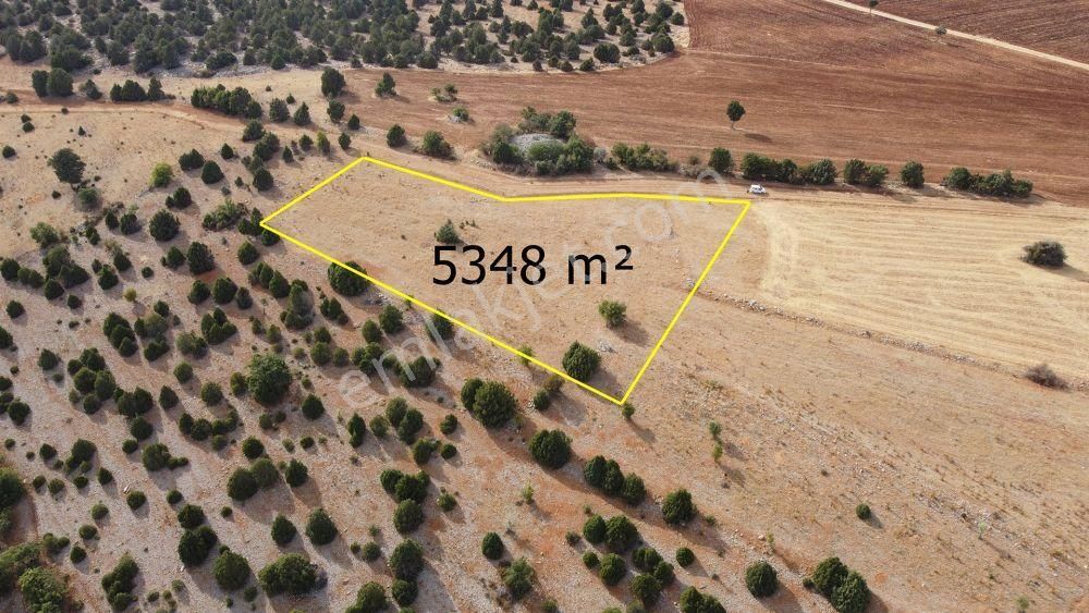 Akören Alanda 5.348 M² Orman İçersinde Müstakil Tapulu Tarla