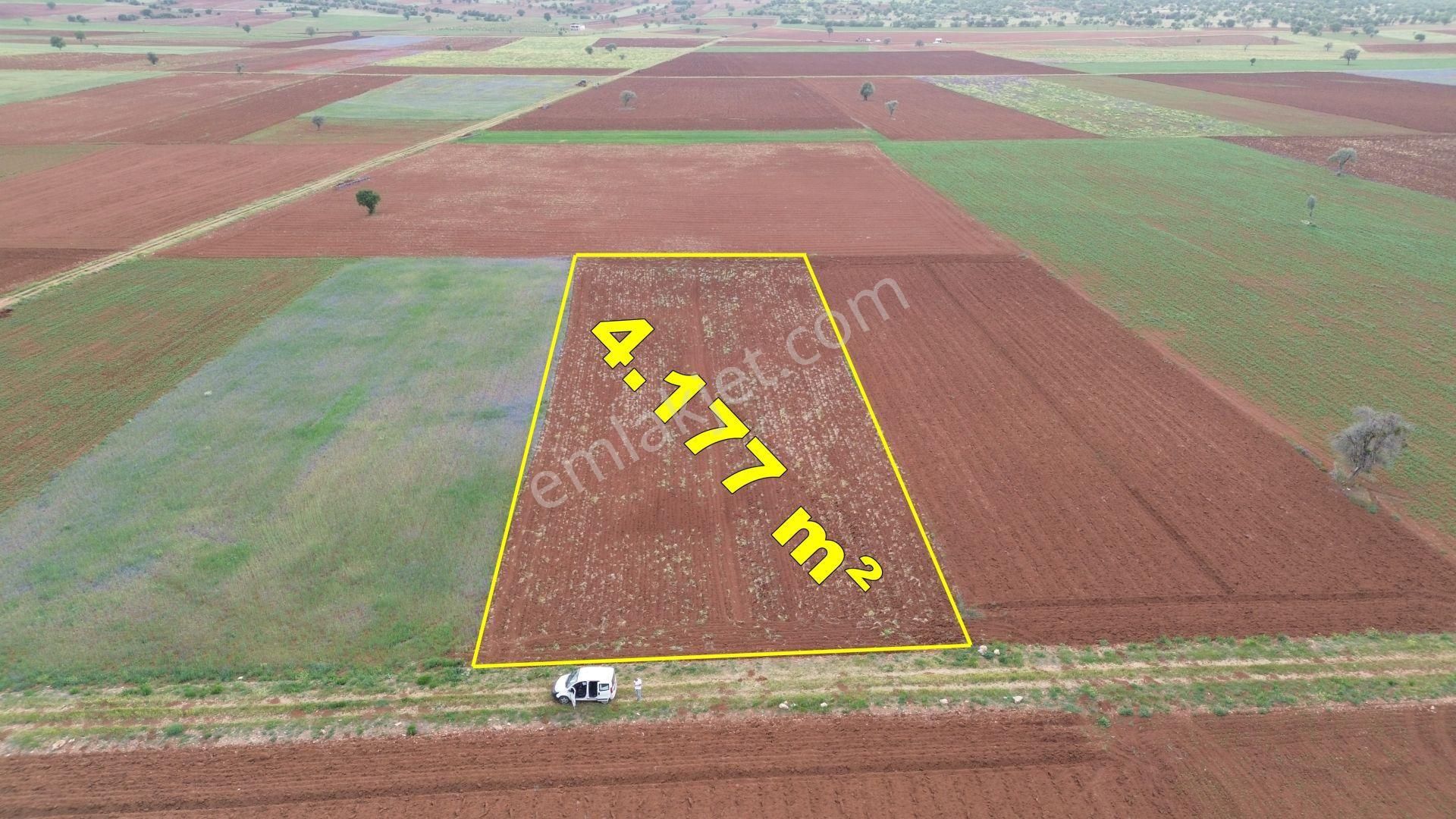 Konya / Akören / Karahüyük Mahallesinde 4.177 M² Müstakil Tapulu Tarla