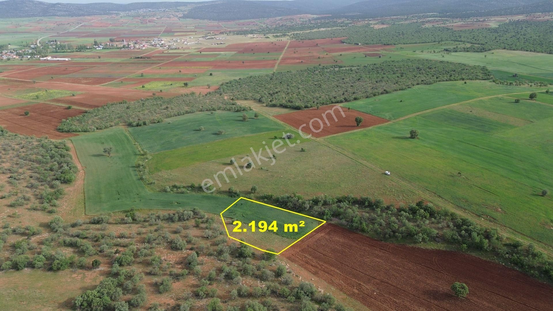 Konya / Akören / Karahüyük Mahallesinde 2.194 M² Müstakil Tapulu Tarla
