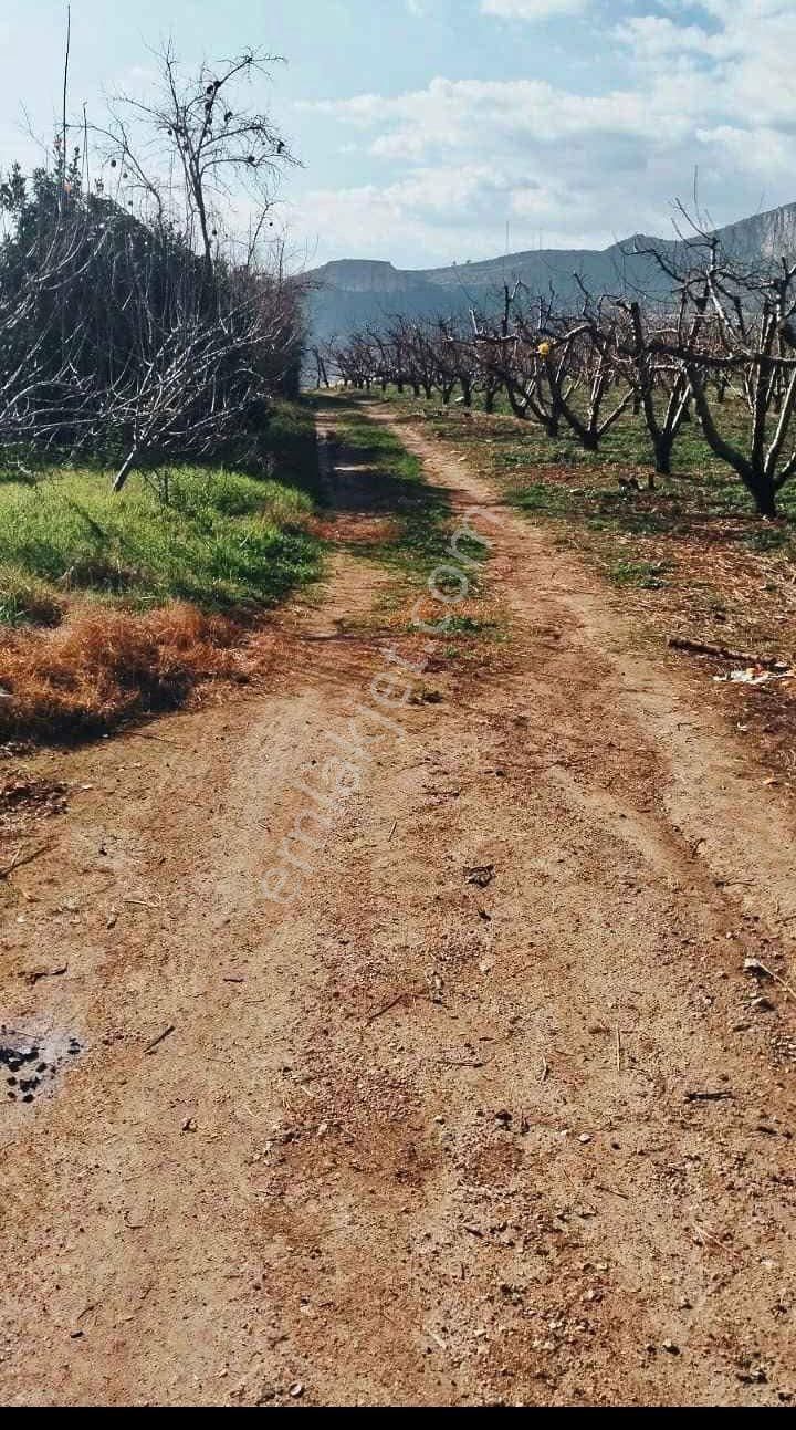 Yenişehir Değirmençayda Fırsat Arsa