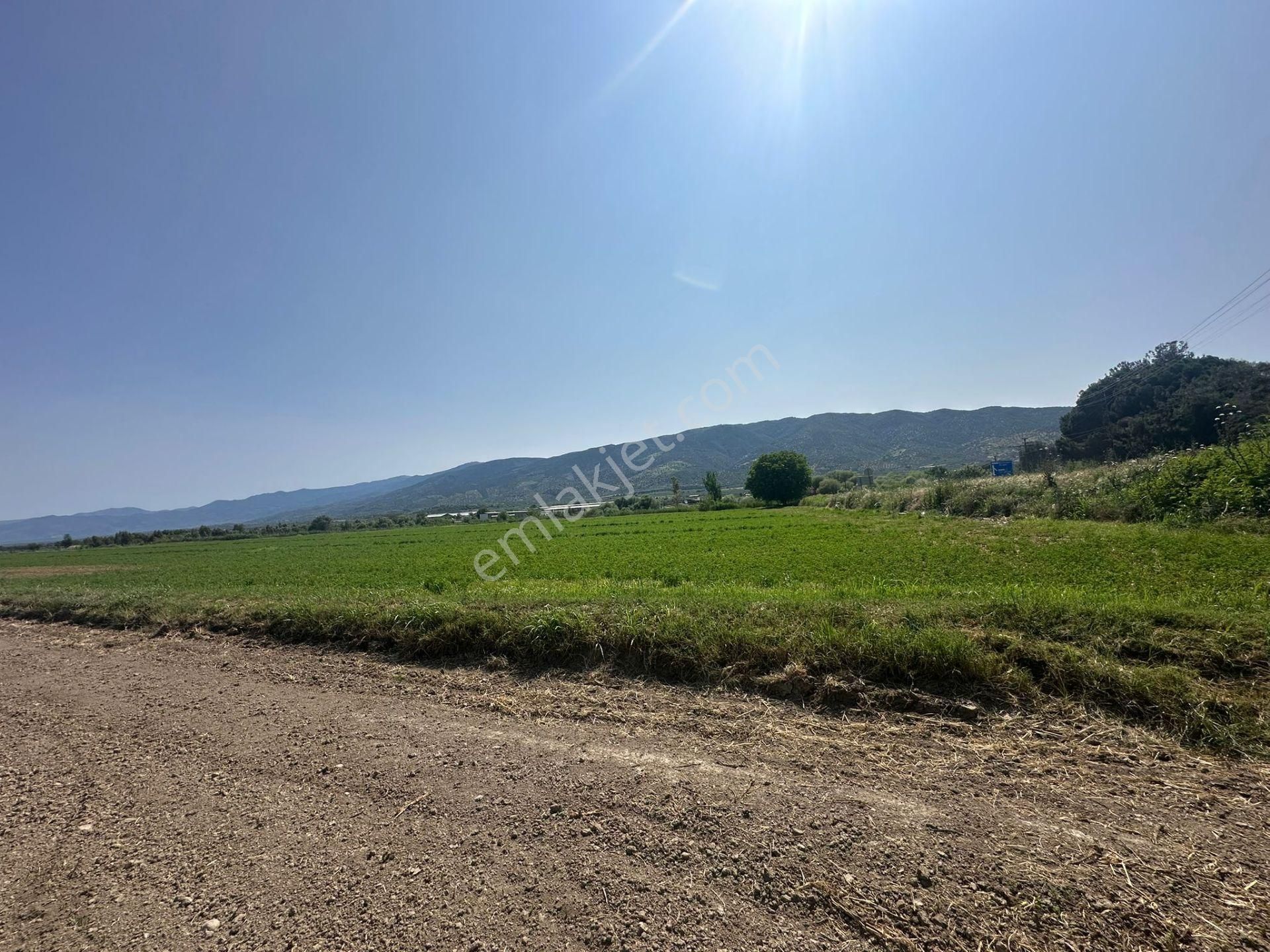 -nazilli Bozdoğan Yolu Üzeri Asfalta Sıfır Satılık Tarla - Görsel 14