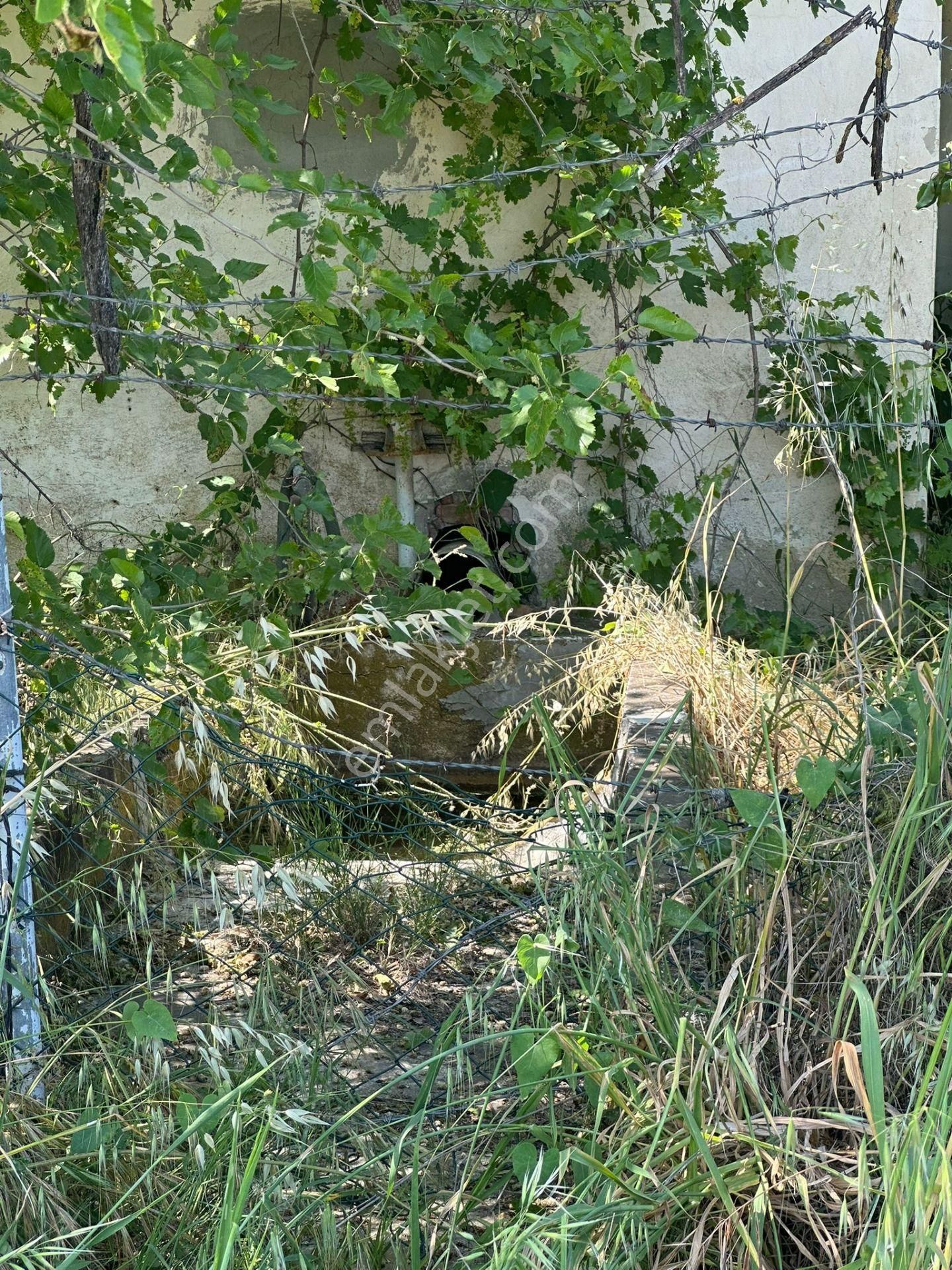 -nazilli Bozdoğan Yolu Üzeri Asfalta Sıfır Satılık Tarla - Görsel 15