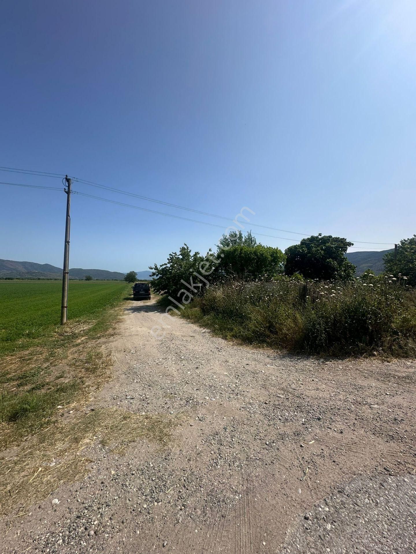 -nazilli Bozdoğan Yolu Üzeri Asfalta Sıfır Satılık Tarla - Görsel 9