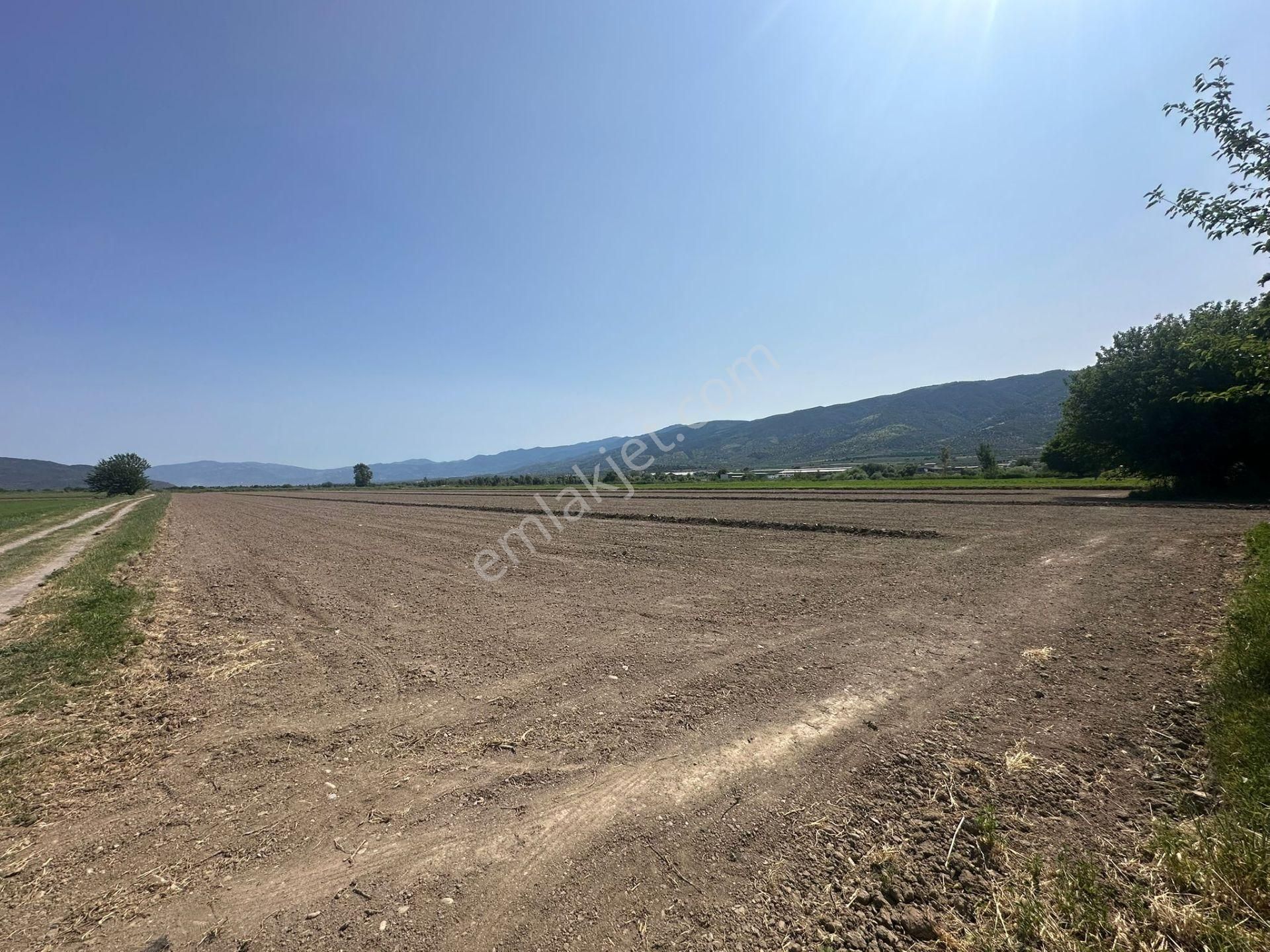 -nazilli Bozdoğan Yolu Üzeri Asfalta Sıfır Satılık Tarla - Görsel 7