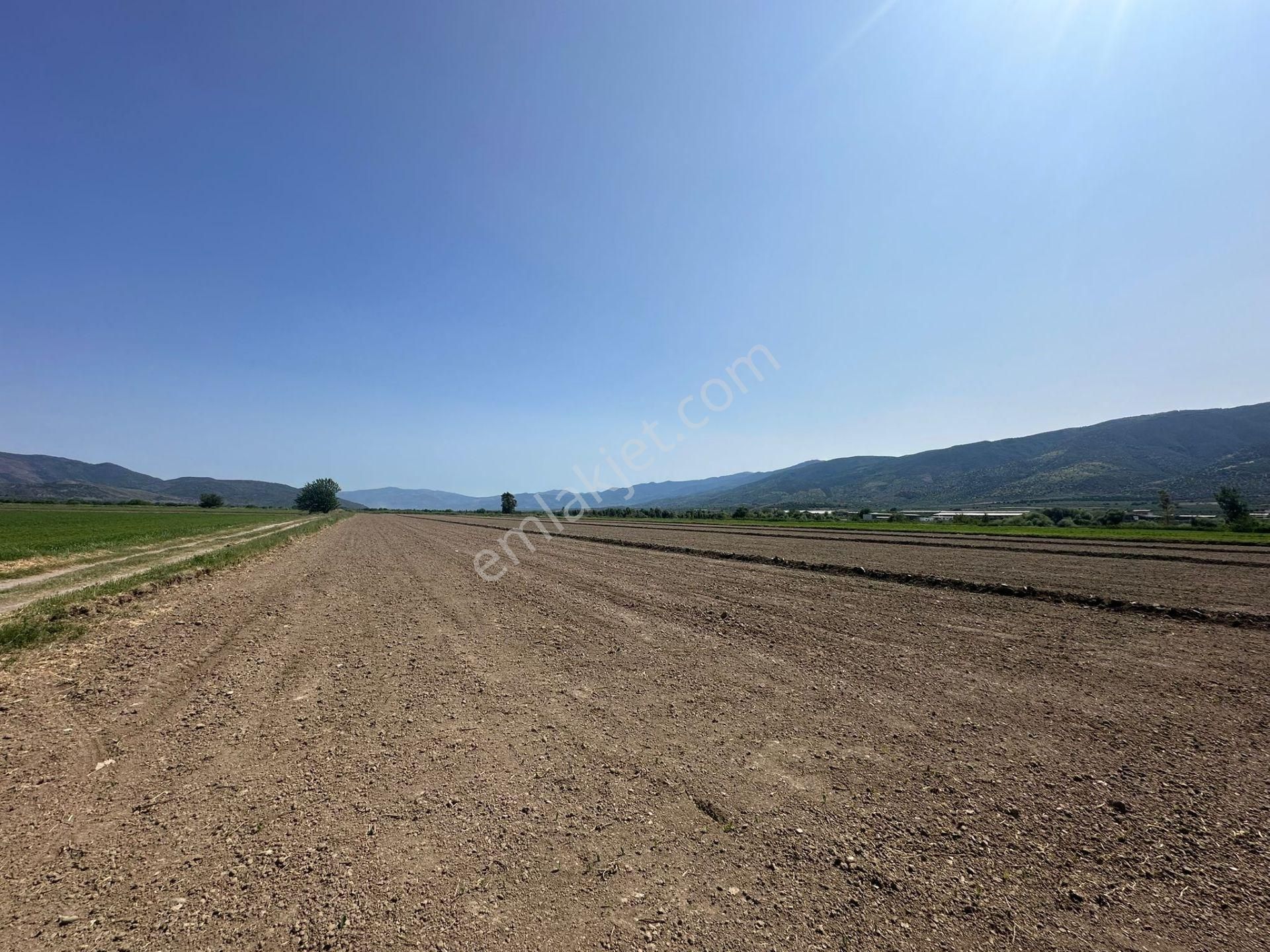-nazilli Bozdoğan Yolu Üzeri Asfalta Sıfır Satılık Tarla - Görsel 20