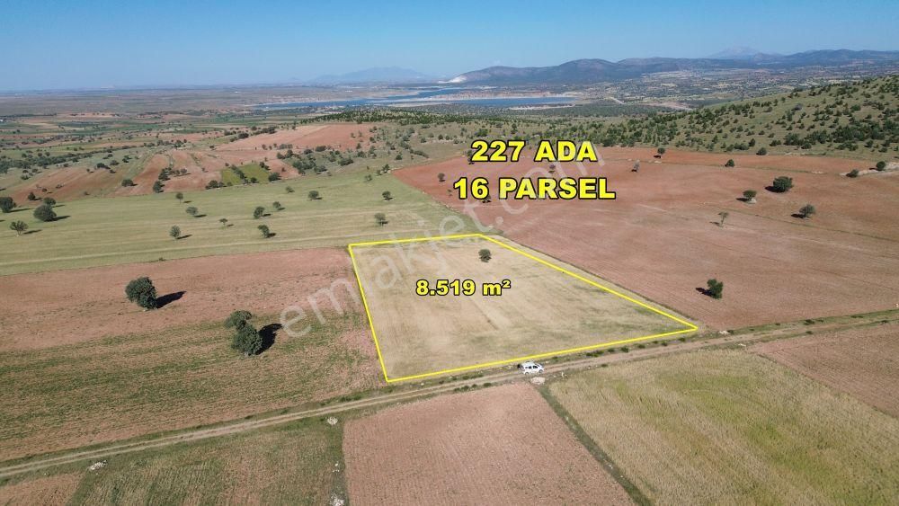 Konya / Akören / Alan Mahallesinde 8.519 M² Müstakil Tapulu Tarla