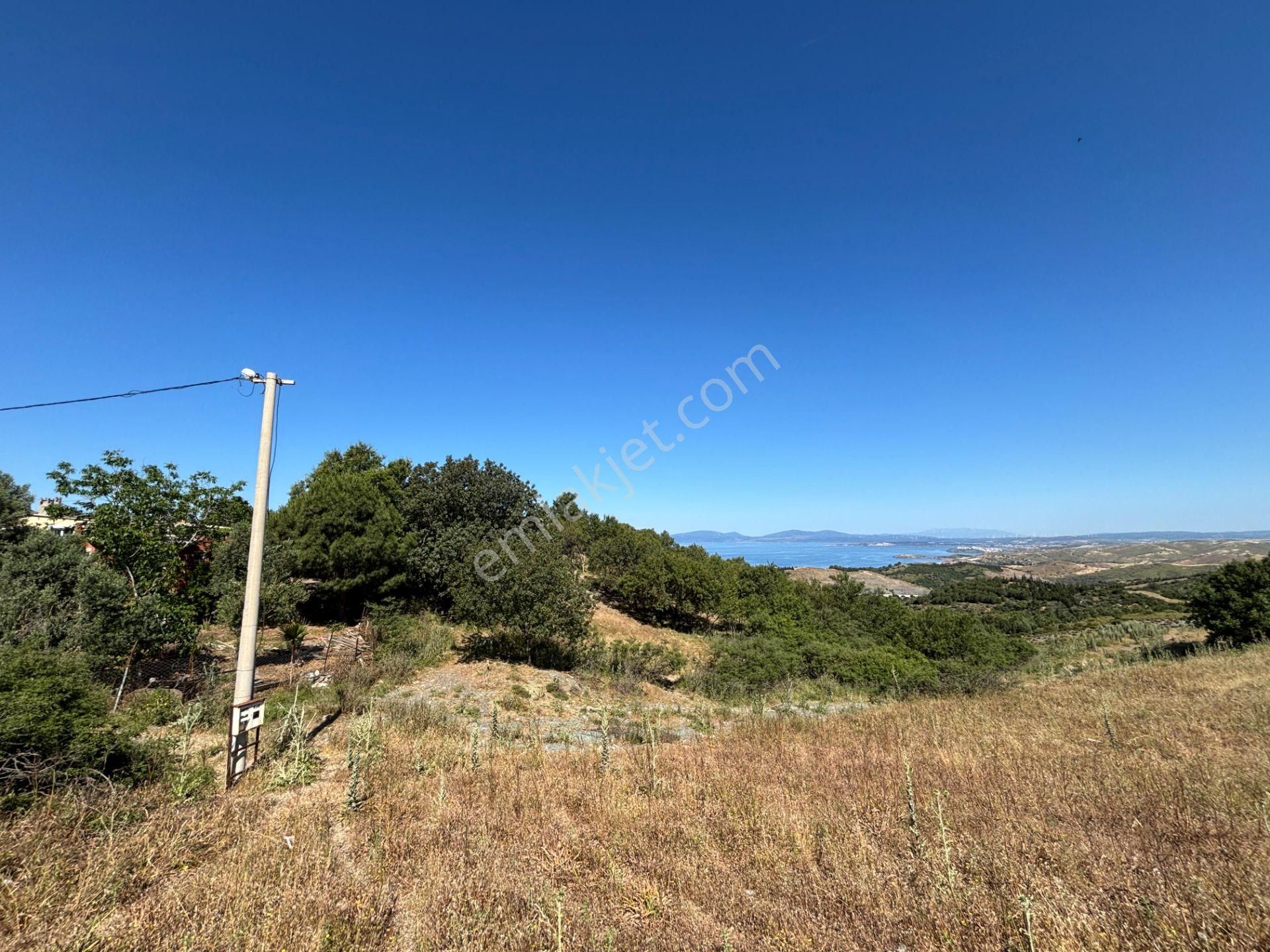 Doğanbey Atatürk Mahallesi'nde Yeni İmar Geçmiş, Villa İmarlı 311 M² Parsel - Görsel 5