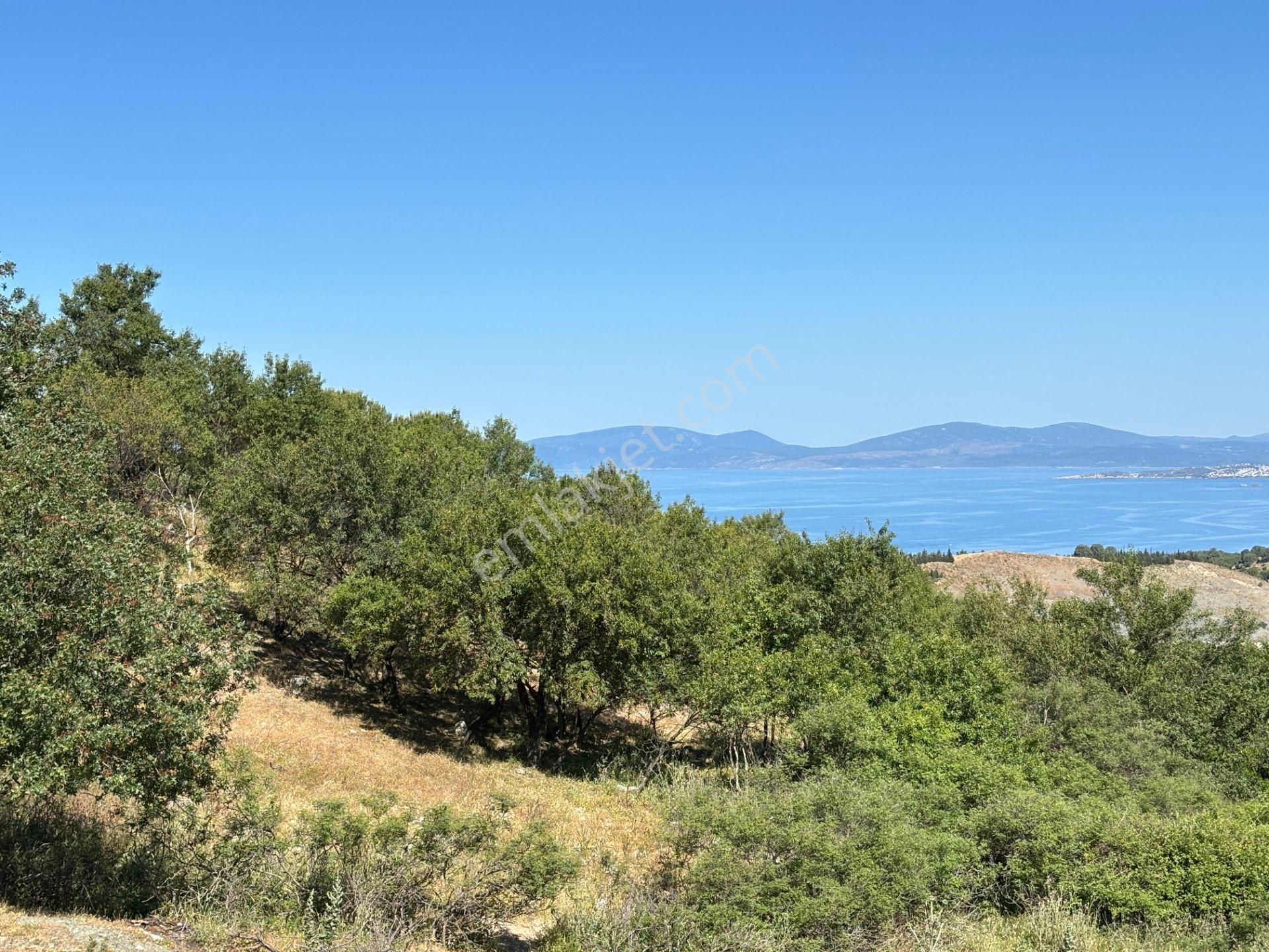 Doğanbey Atatürk Mahallesi'nde Yeni İmar Geçmiş, Villa İmarlı 311 M² Parsel - Görsel 12