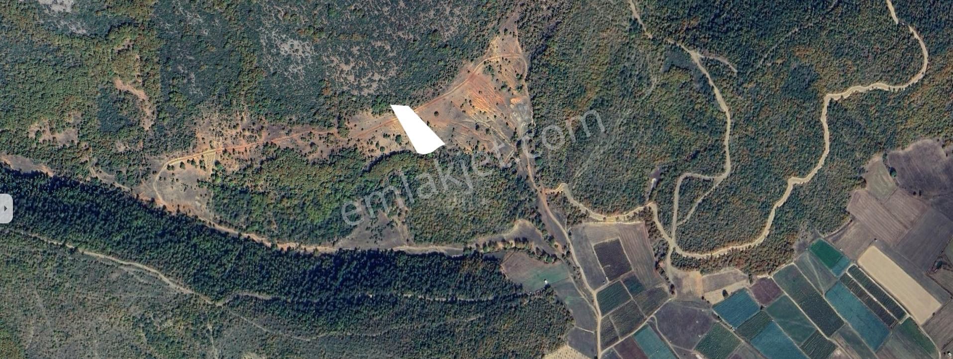 Oğulpaşa Köyünde 3.000 M2 Satılık Tarla