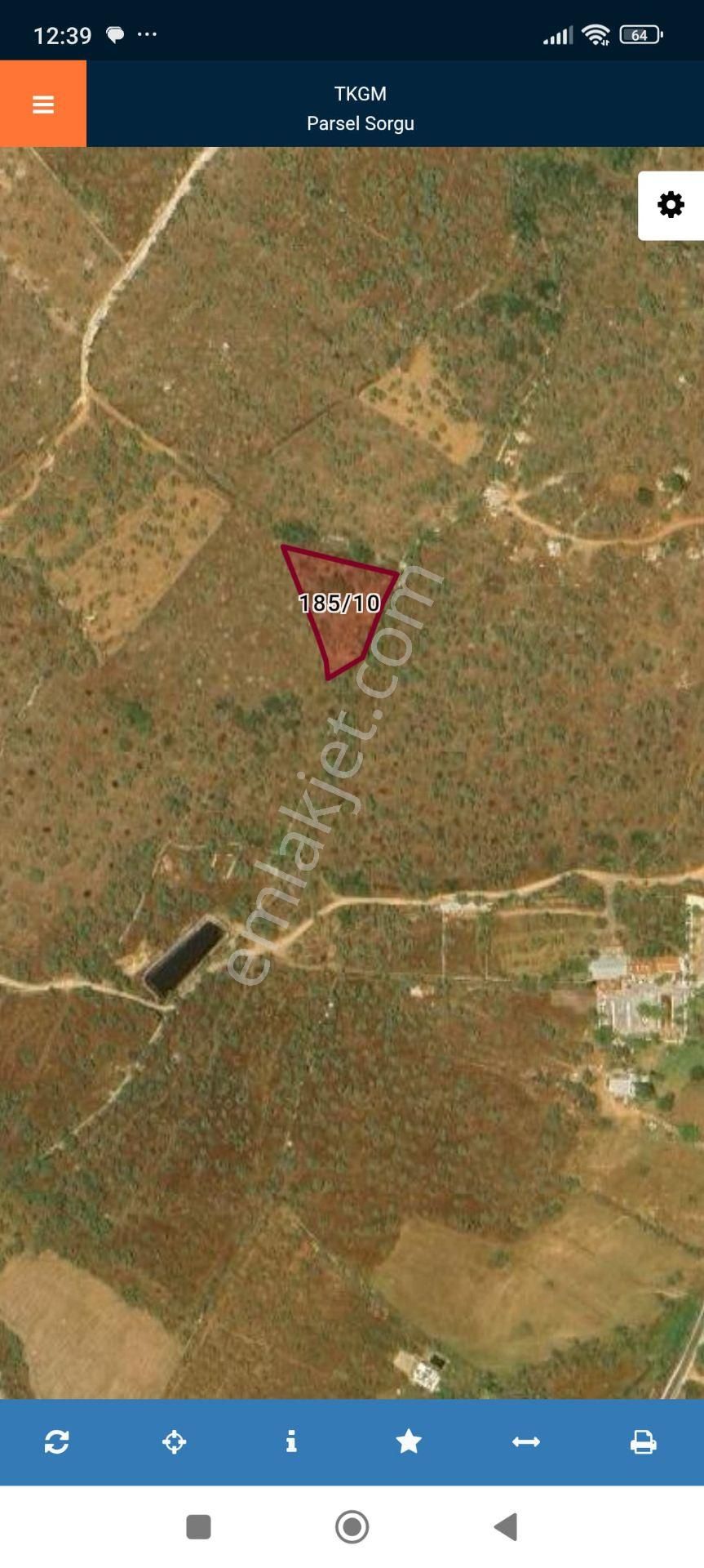 Muğla Milas Kazıklı Da 2.267 Metrekare Satılık Zeytinlik