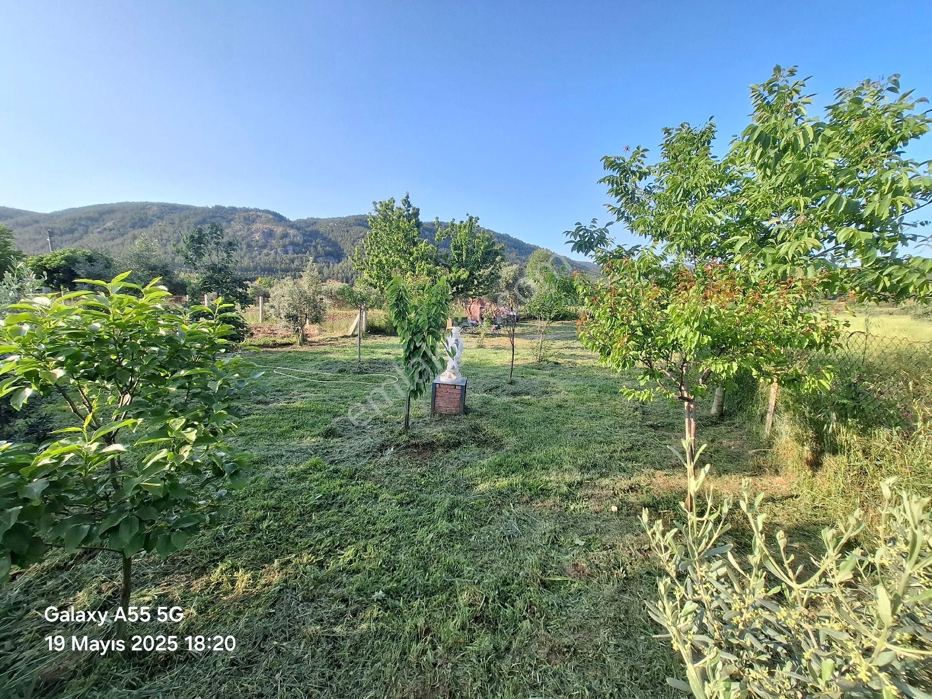Muğla Ula,da Elektrik Ve Suyu Olan Tiny House İçin Uygun Arazi