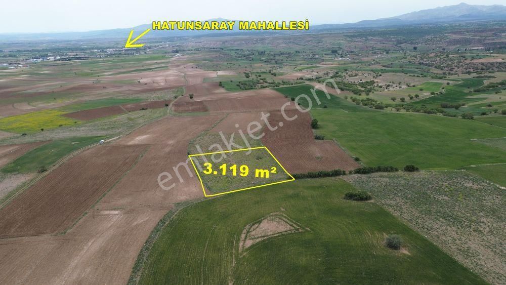 Konya / Meram / Güneydere Mahallesinde 3.119 M² Müstakil Tapulu Tarla