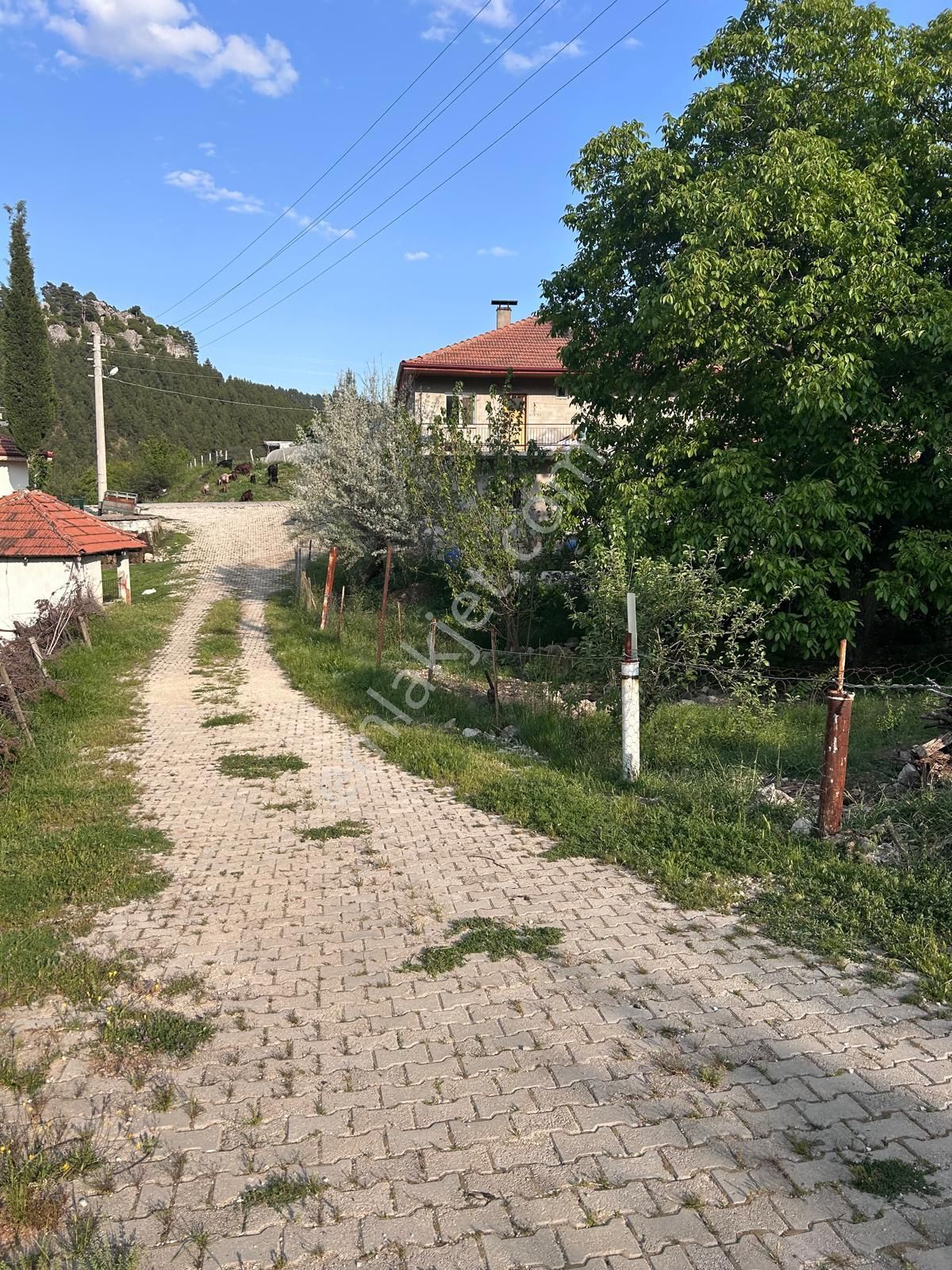 Çamlıdere Köy Yerleşim Alanı İçerisinde Satılık Müstakil Ev Ve Tarla - Görsel 4