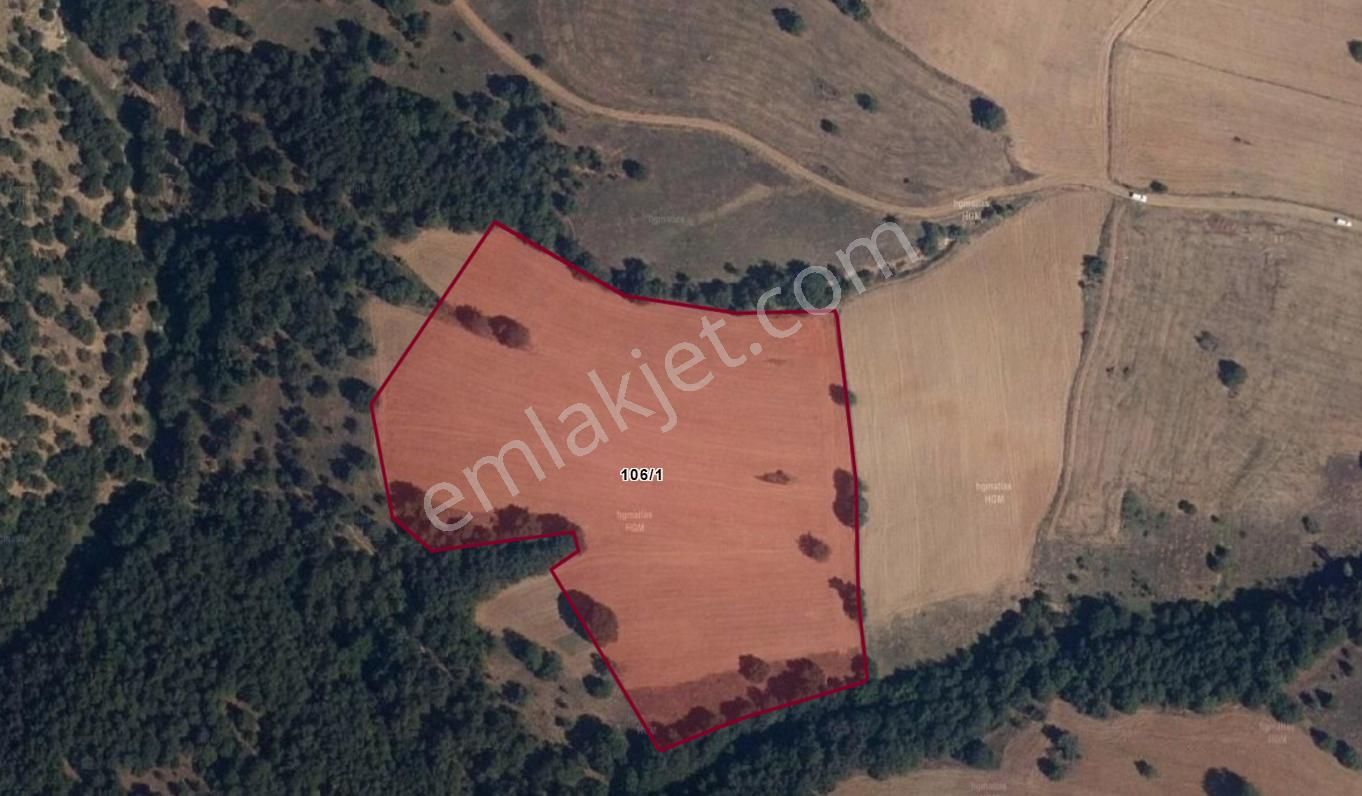 21.679 M2-bilecik-söğüt(6km)-savcıbey-yatırımlık-verimli (enka)