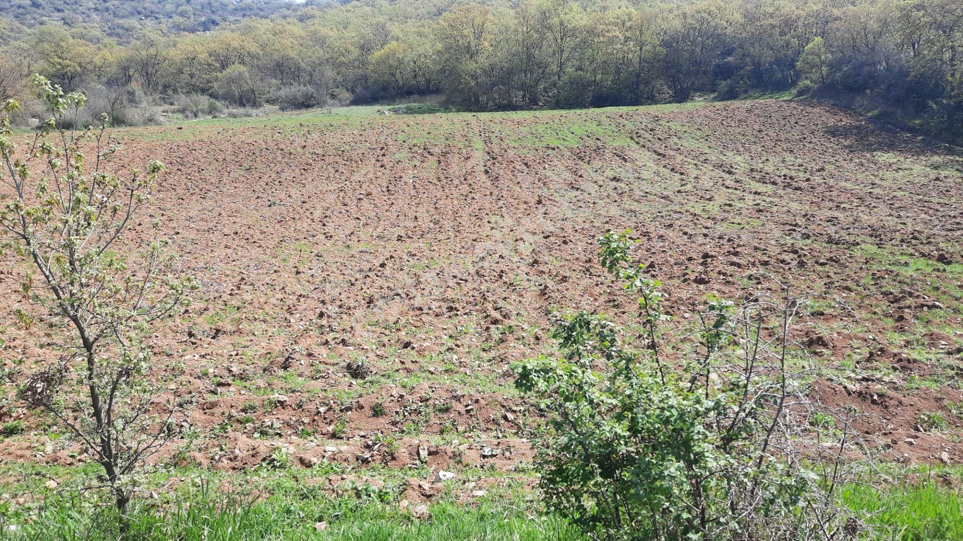 Balıkesir Sındırgı'da 1.373 M2 Asfalt Yol Kenarı Dümdüz Arazi !