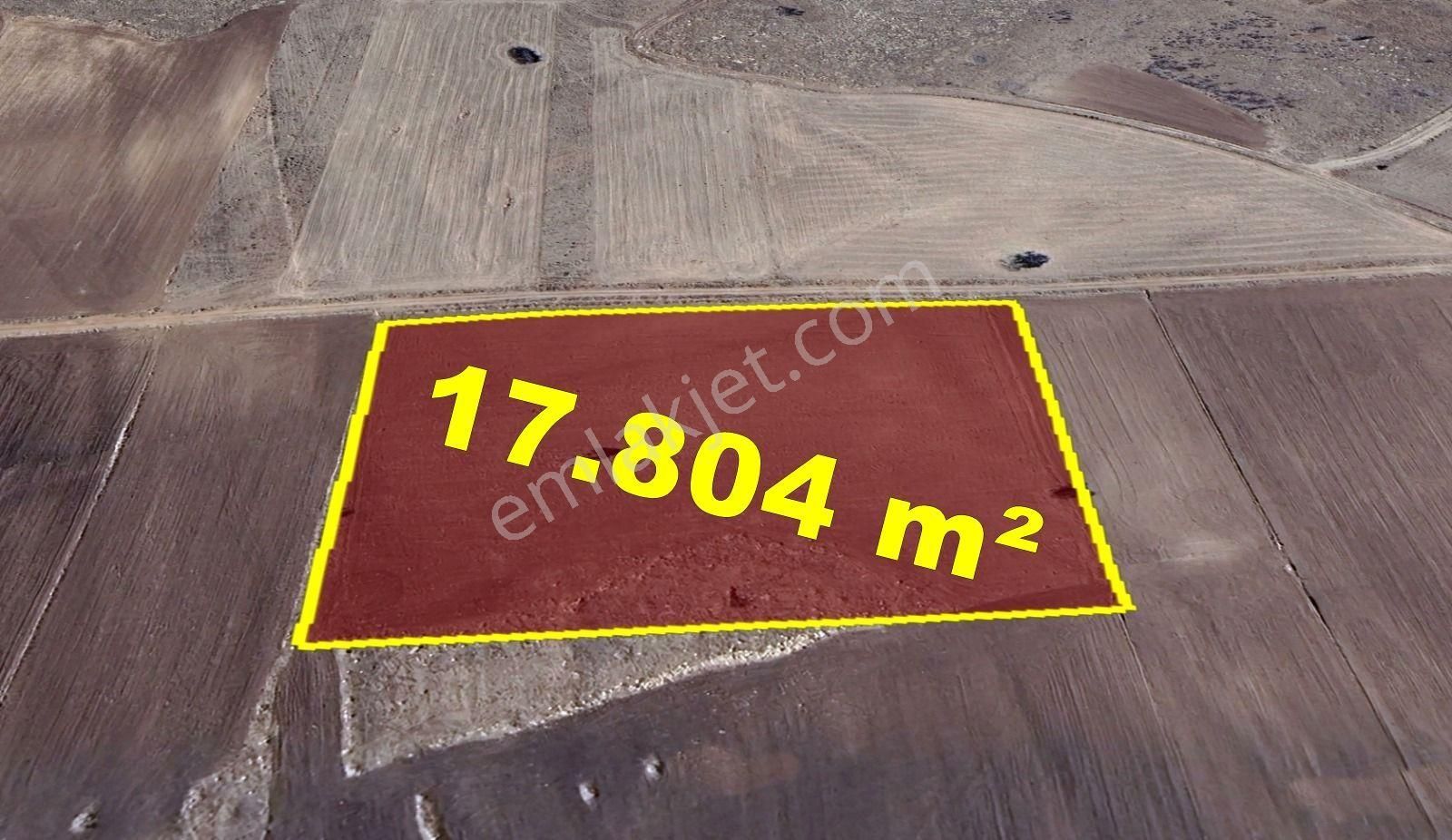 Konya / Akören / Orhaniye Mahallesinde 17.804 M² Müstakil Tapulu Tarla