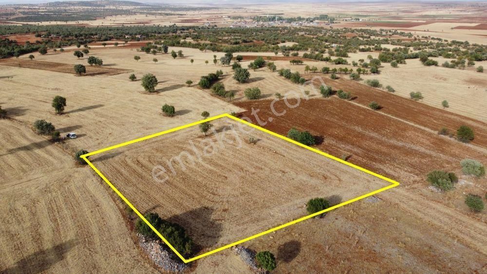 Akören / Karahüyük De Doğa Güzelliğinin Ortasında 3.808 M² Tarla