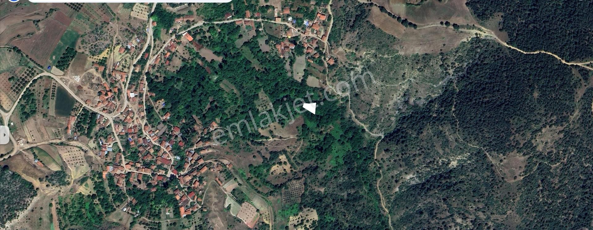 Köy Yanı 545 M2 Satılık Bahçe