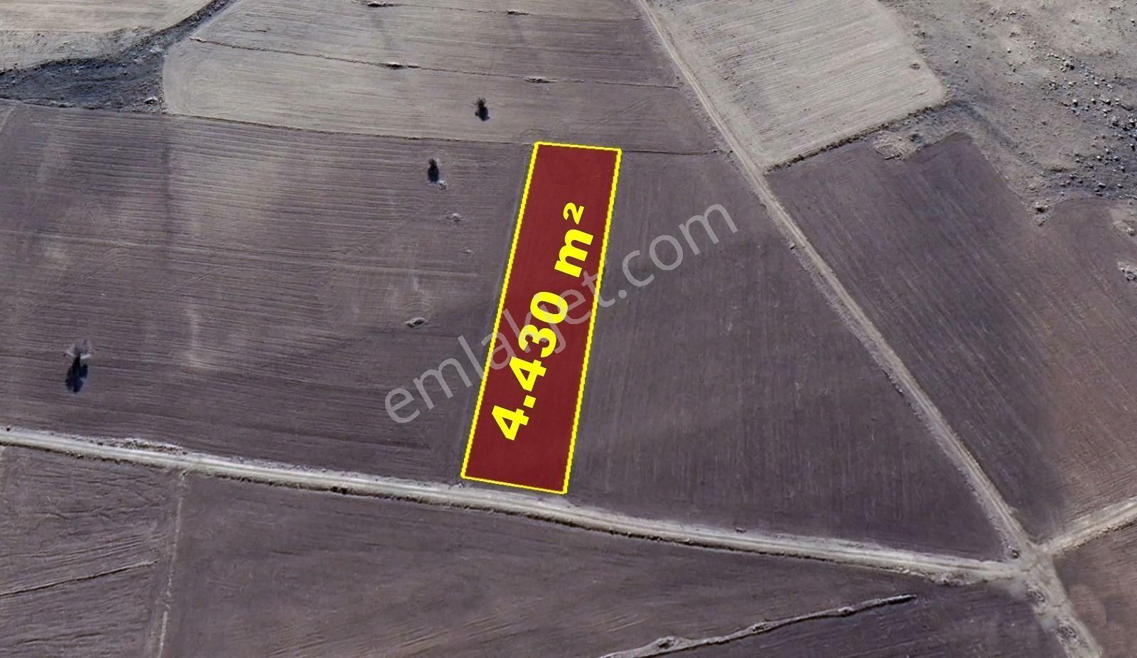 Konya / Akören / Orhaniye Mahallesinde 4.430 M² Müstakil Tapulu Tarla