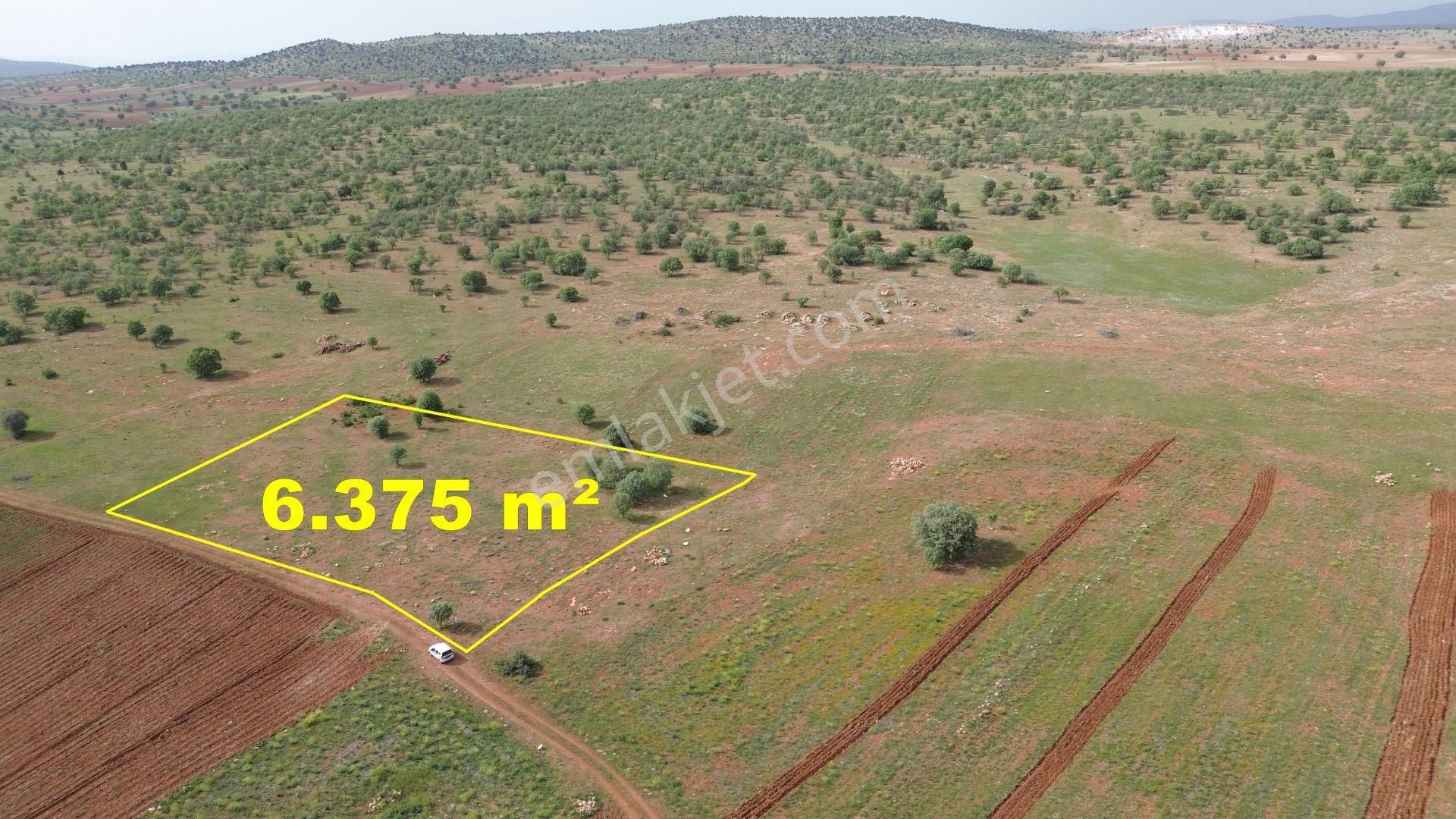 Konya / Akören / Hacılar Mahallesinde 6.375 M² Müstakil Tapulu Tarla