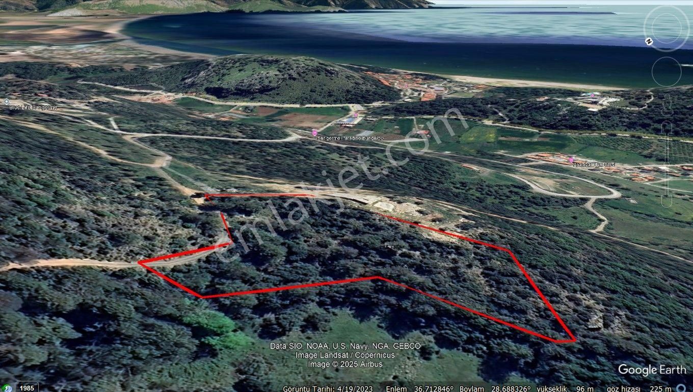 Muğla Ortaca Sarıgerme Mahallesinde Satılık Zeytinlik