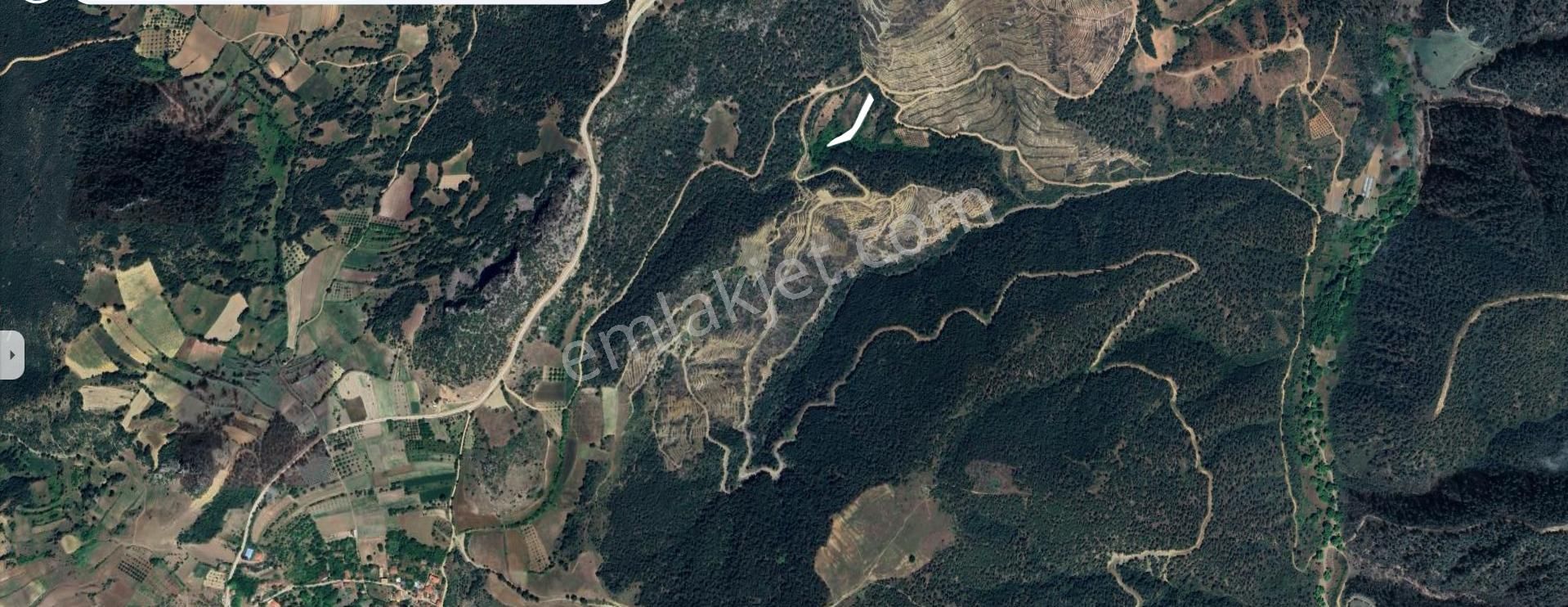 Belenalan Köyünde 1.580 M2 Satılık Tarla