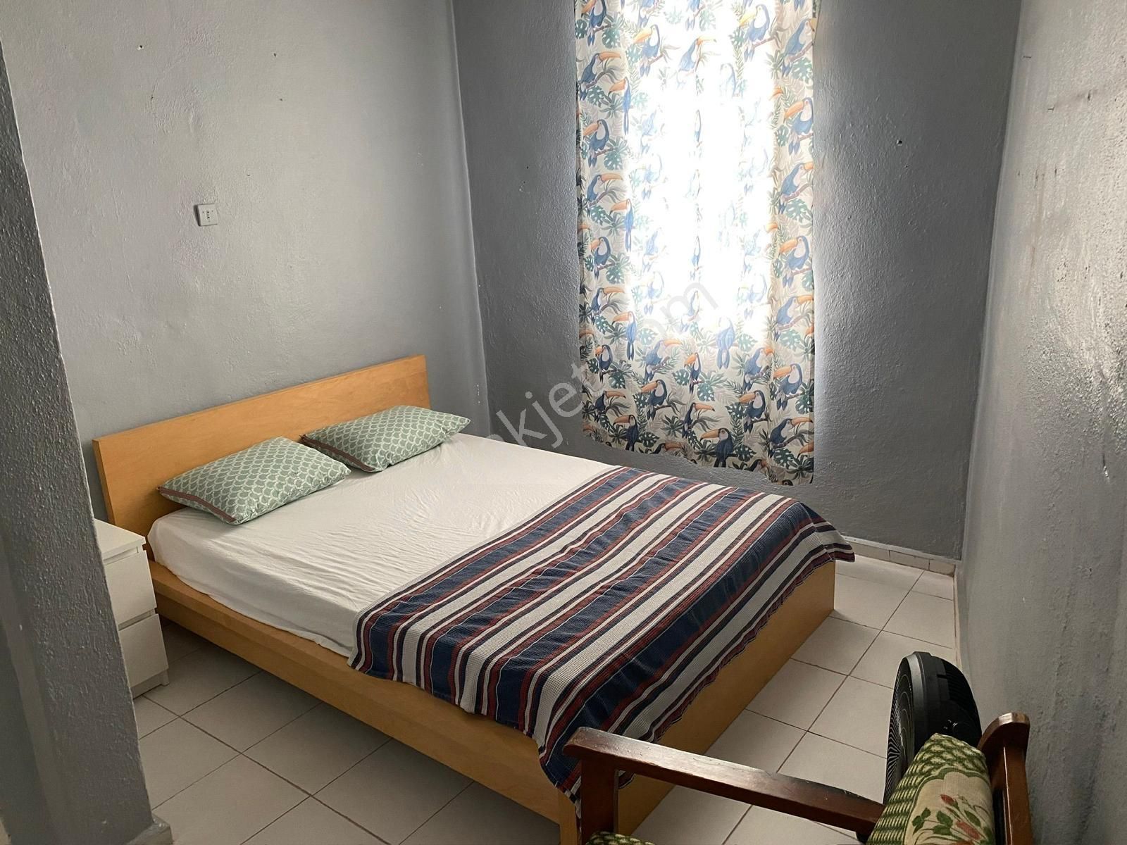 Premar Ayvada'dan Ayvalık Merkez'de Teraslı 2 Katlı 2+1 Taş Rum Evi - Görsel 21