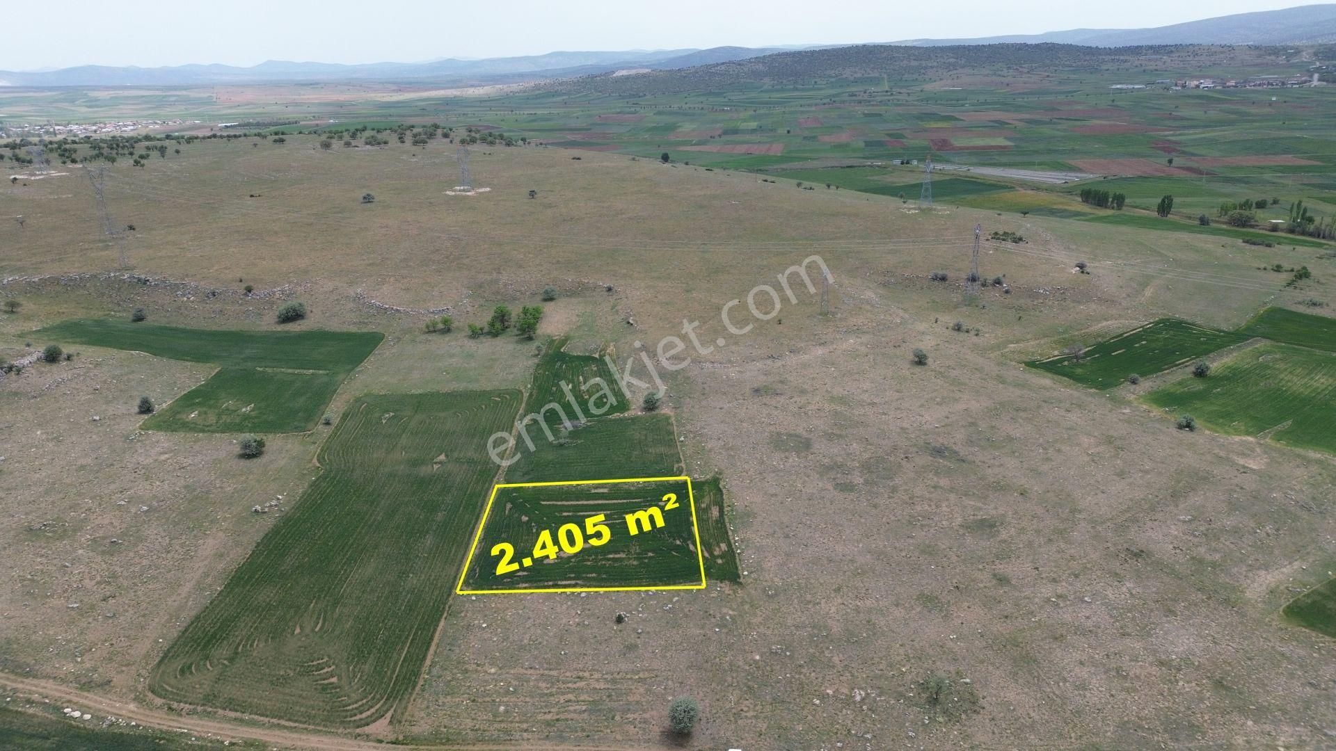 Konya / Akören / Orhaniye Mahallesinde 2.405 M² Müstakil Tapulu Tarla