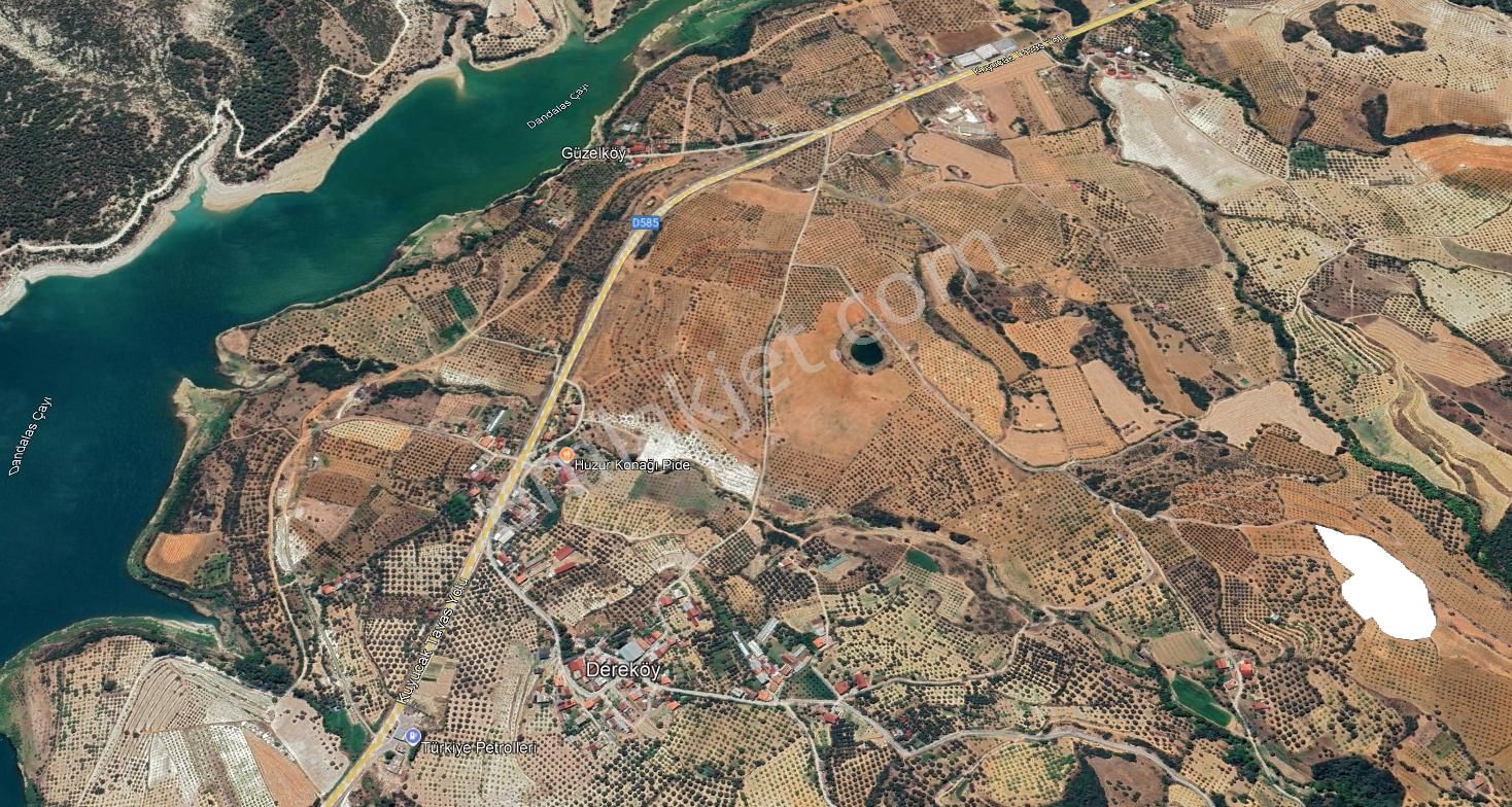 Karacasu Yetişkin Bakımlı İncir Bahçesi 18 Dönüm - Görsel 2