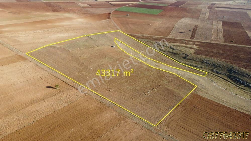 Konya / Akören / Orhaniye De 43.317 M² Tarla