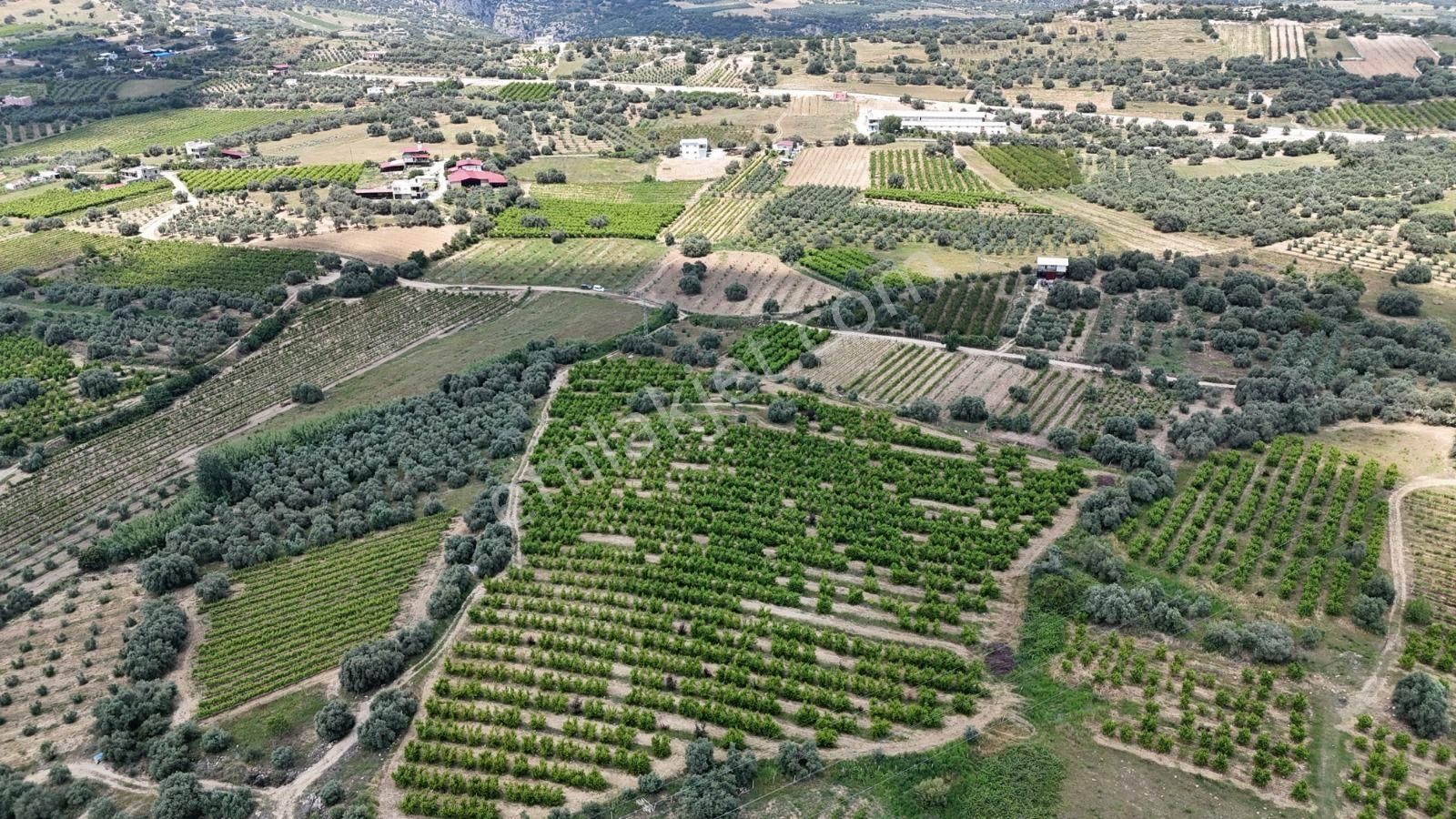 Ra Gayrimenkul Karadirlik Mh.satılık Nektari Bahçesi - Görsel 12