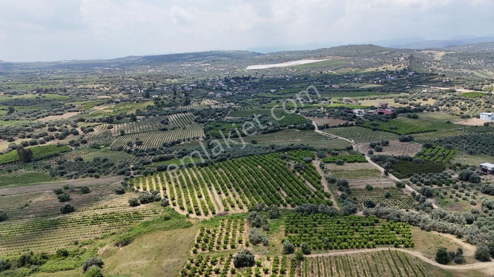 Ra Gayrimenkul Karadirlik Mh.satılık Nektari Bahçesi - Görsel 9