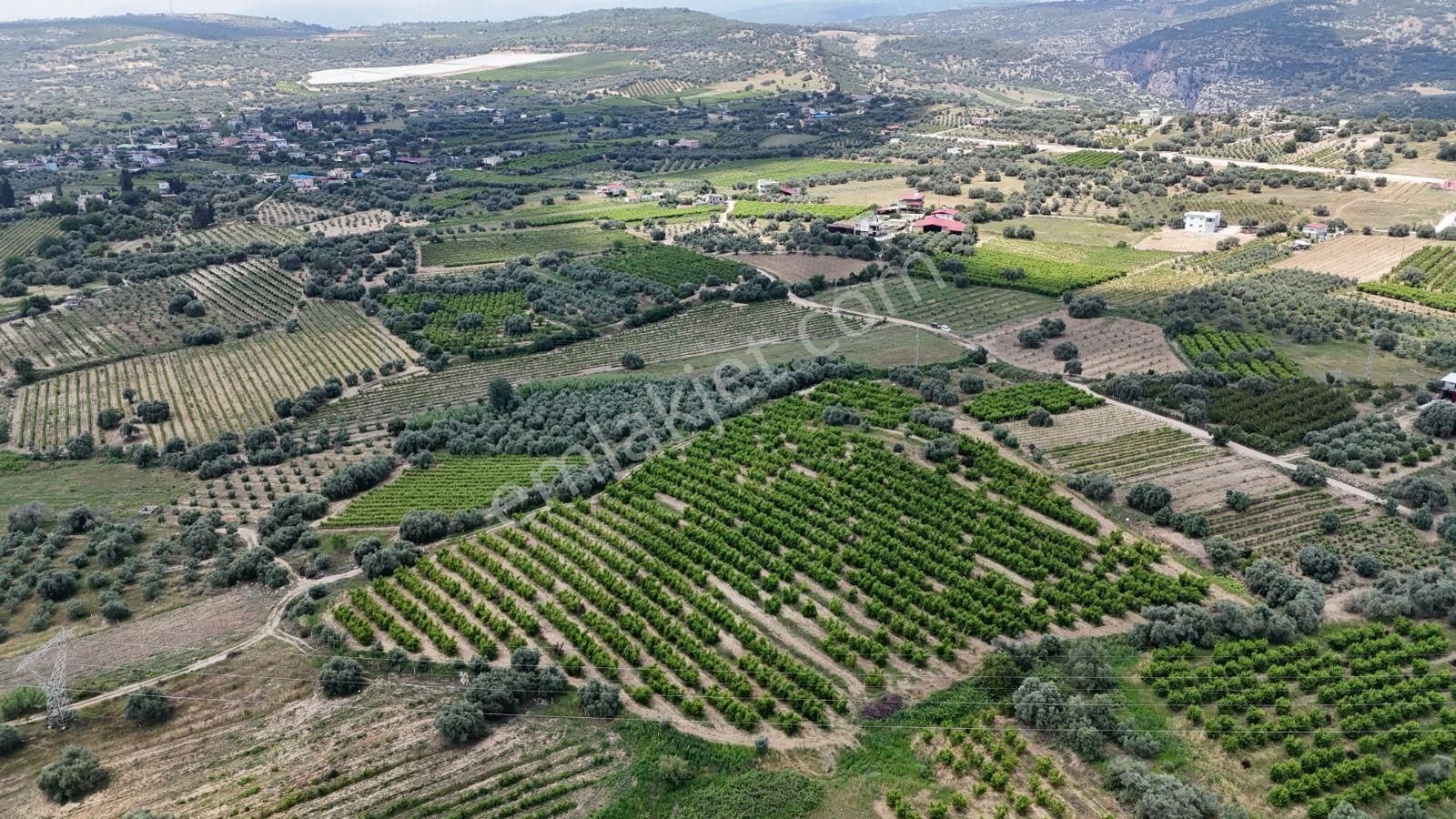 Ra Gayrimenkul Karadirlik Mh.satılık Nektari Bahçesi - Görsel 10