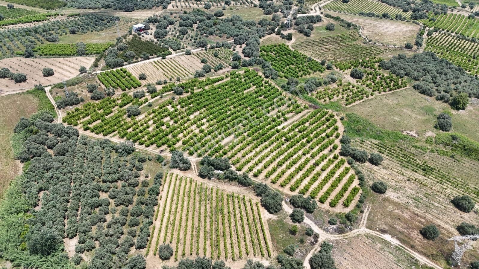 Ra Gayrimenkul Karadirlik Mh.satılık Nektari Bahçesi - Görsel 20