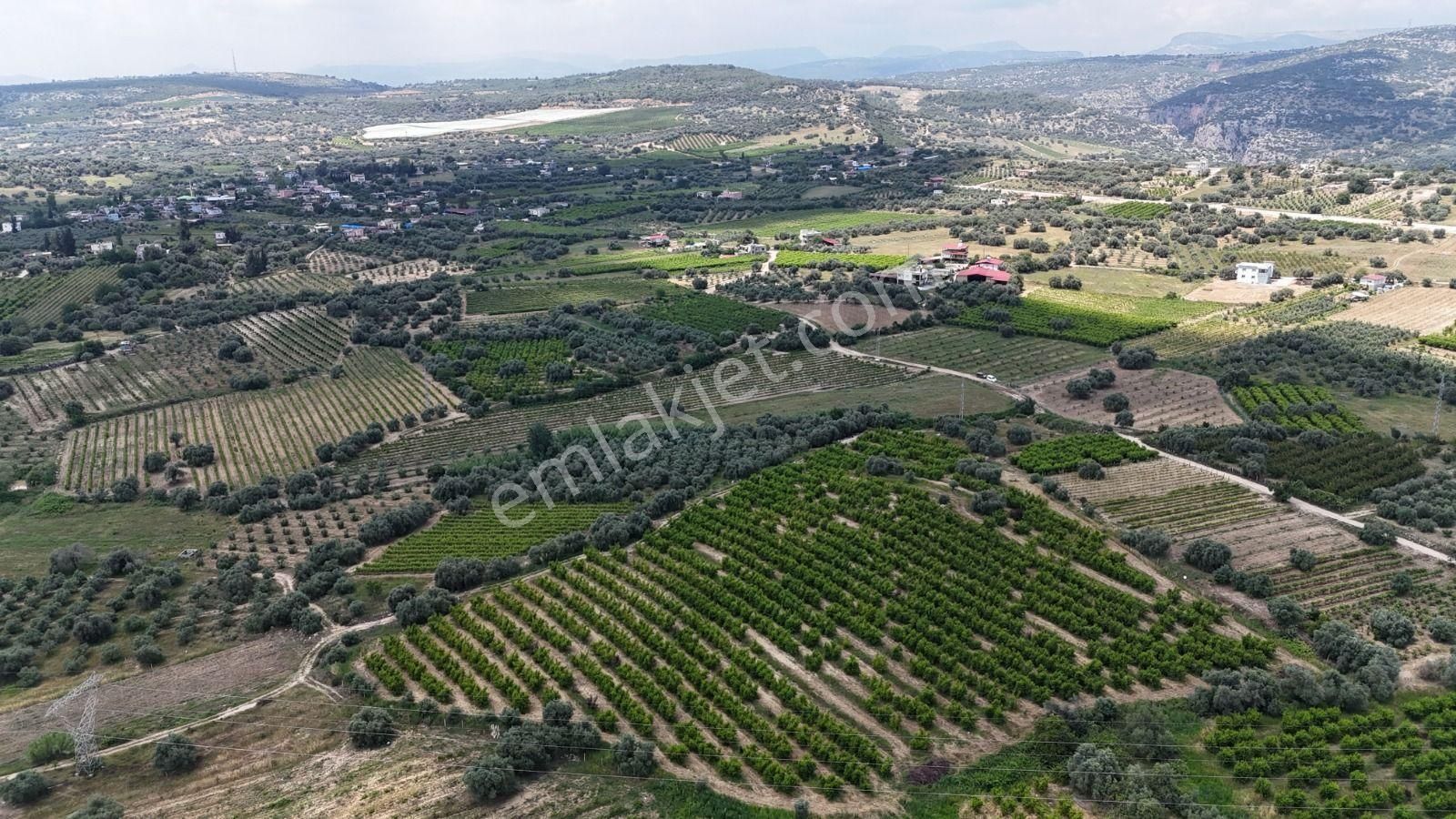 Ra Gayrimenkul Karadirlik Mh.satılık Nektari Bahçesi - Görsel 7