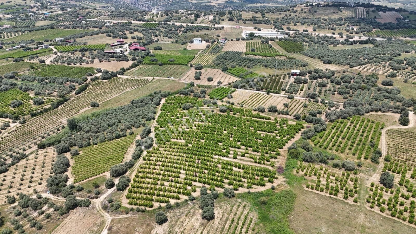 Ra Gayrimenkul Karadirlik Mh.satılık Nektari Bahçesi - Görsel 18