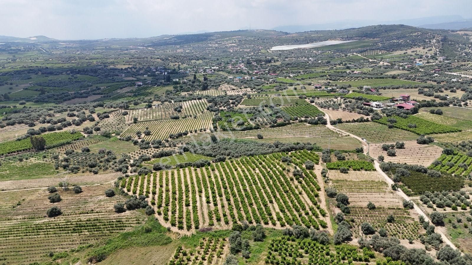 Ra Gayrimenkul Karadirlik Mh.satılık Nektari Bahçesi - Görsel 21